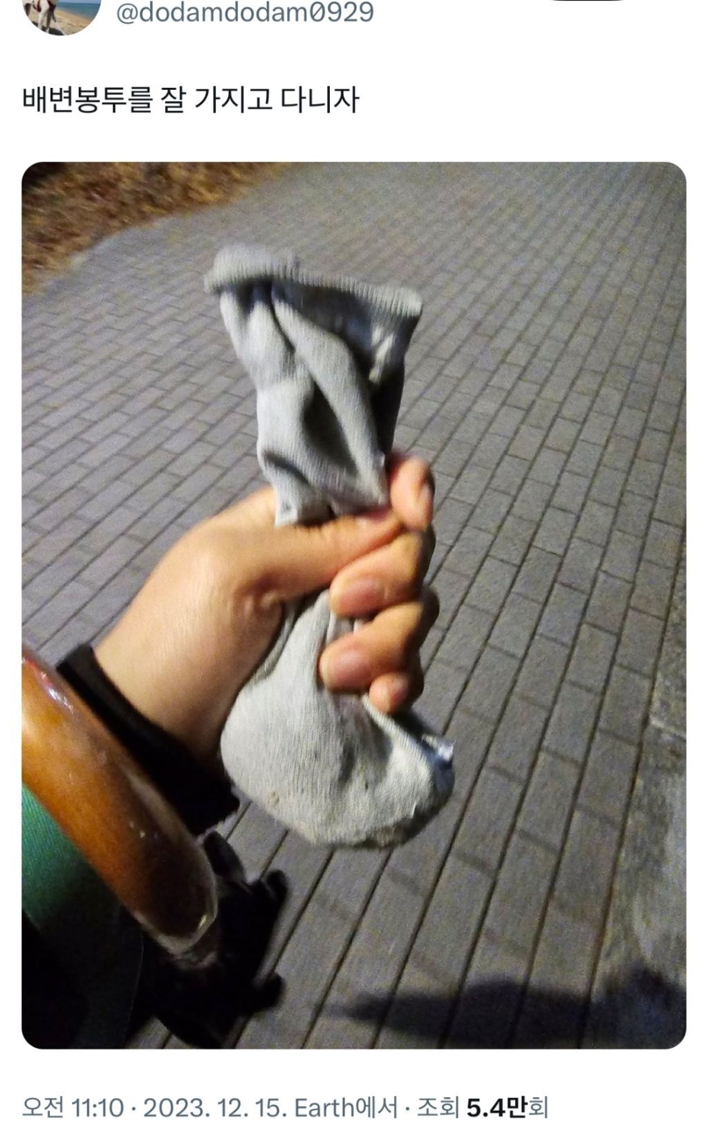 배변봉투가-없었던-댕댕이-보호자-1-이미지