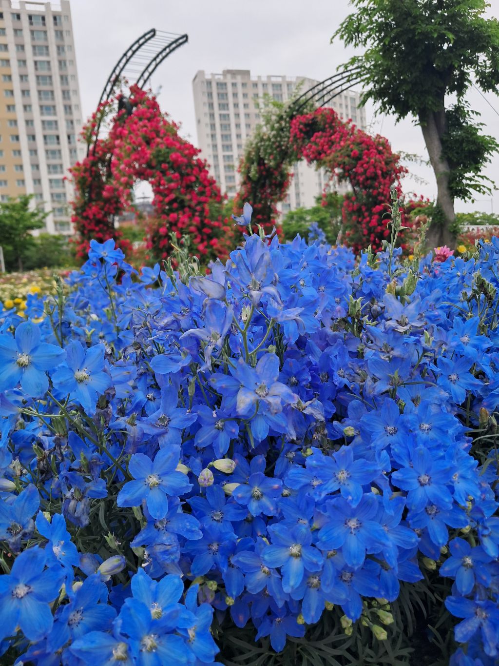 김포-호수공원-2-이미지