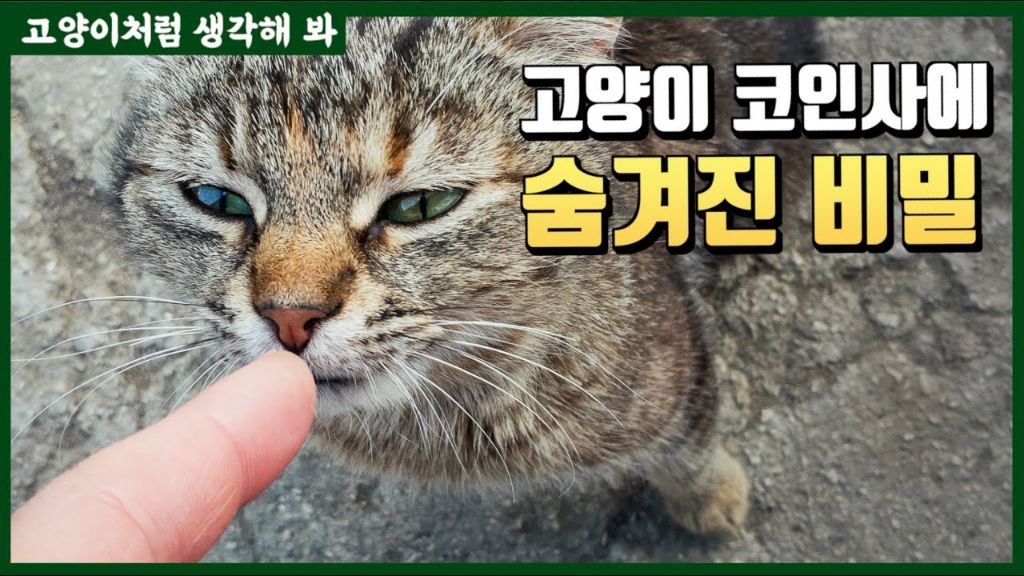 코숏-턱시도-고양이-키운다는-배우-이성민-32-이미지