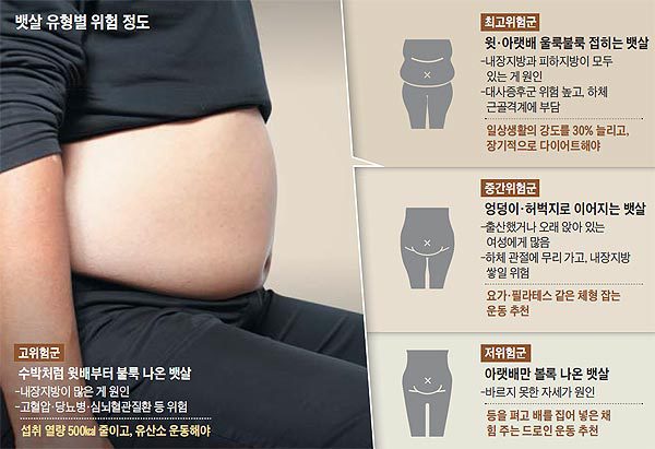 가장-위험한-뱃살-1-이미지