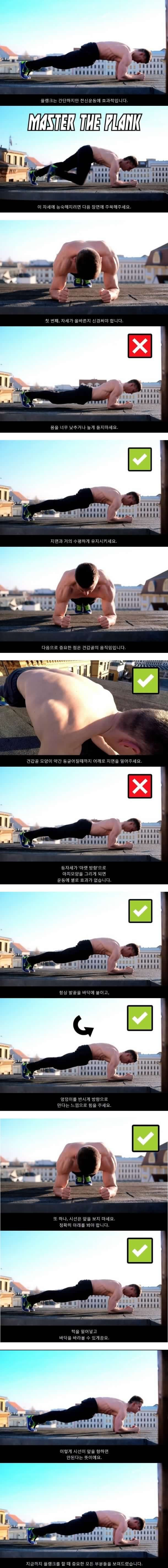 플랭크자세-똑바로-하는-Tip-0-이미지