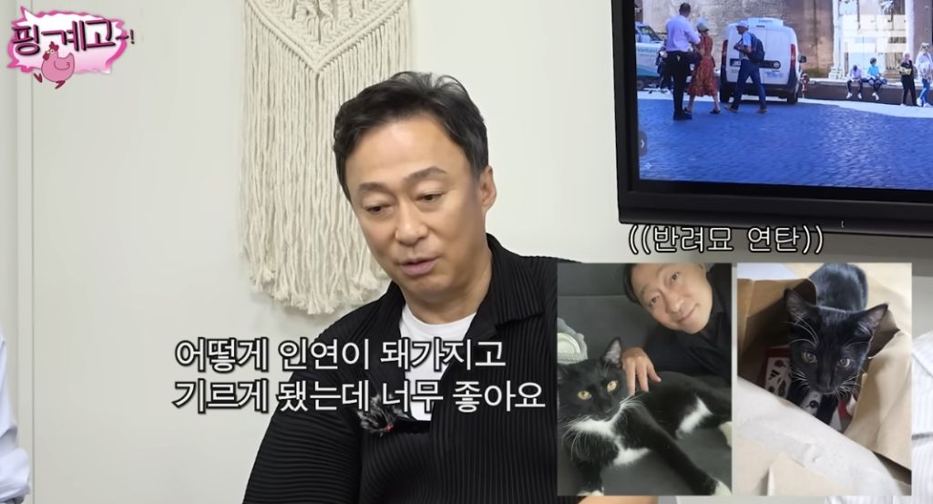 코숏-턱시도-고양이-키운다는-배우-이성민-3-이미지