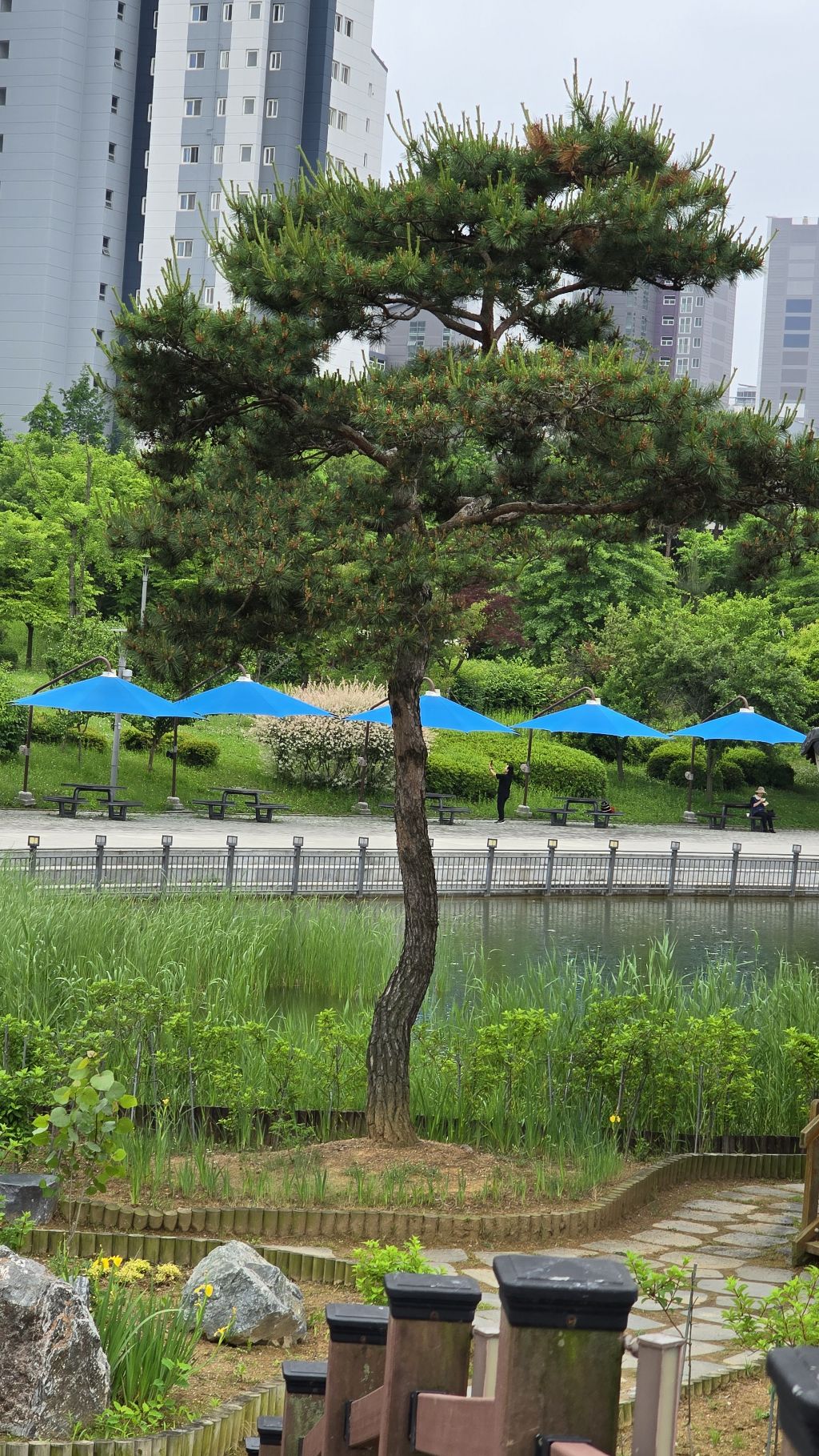 김포-호수공원-5-이미지