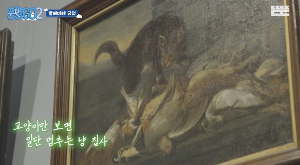 코숏-턱시도-고양이-키운다는-배우-이성민-30-이미지