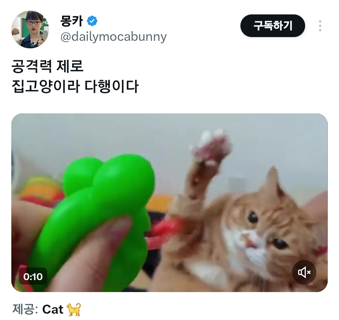 집고양이라-다행이다.x-0-이미지