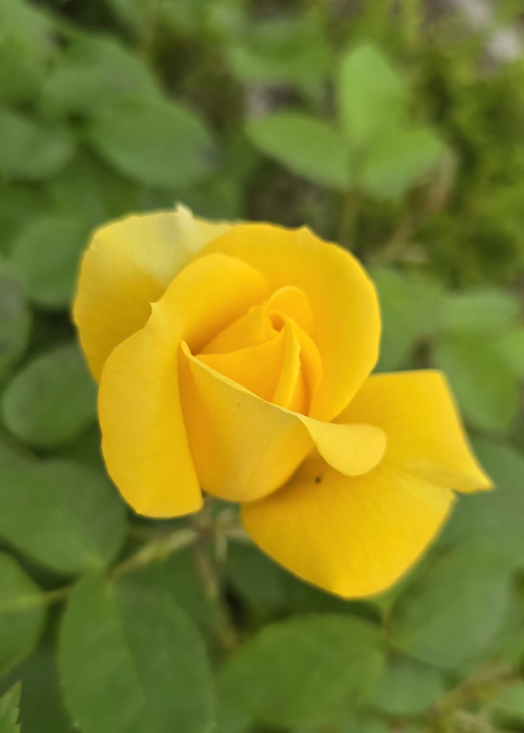 김포-호수공원-1-이미지