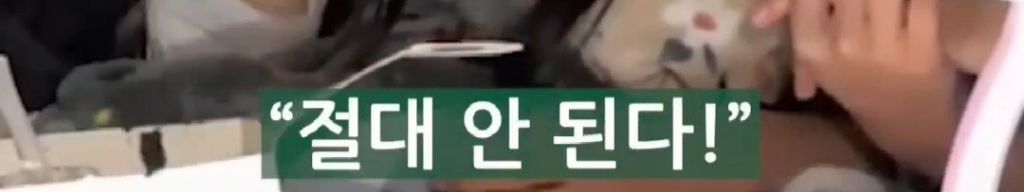 리센느-원이가-풀어주는-소속사-입사썰-ㄷㄷ-15-이미지