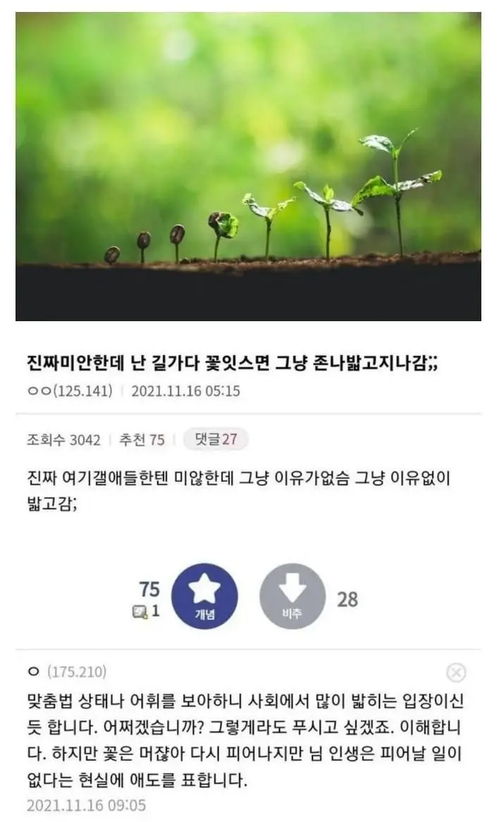 욕-없이-클린하다는-식물갤-1-이미지