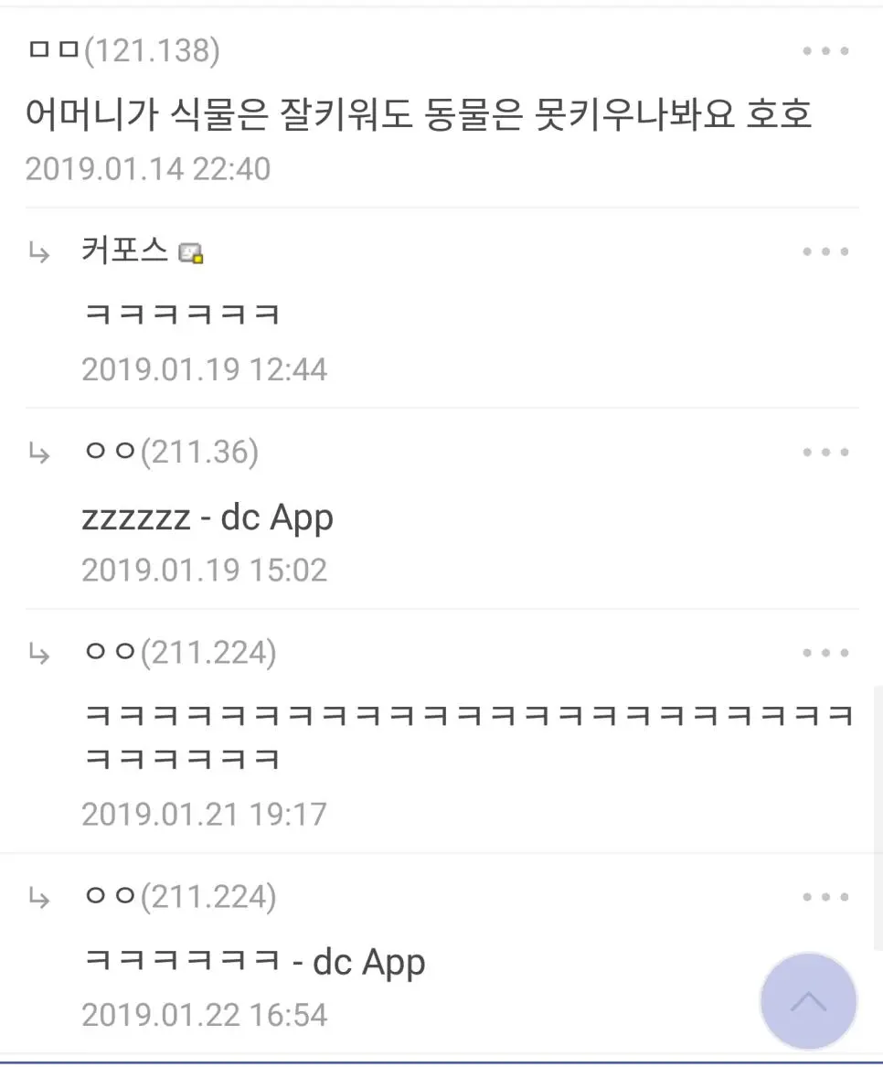 욕-없이-클린하다는-식물갤-3-이미지