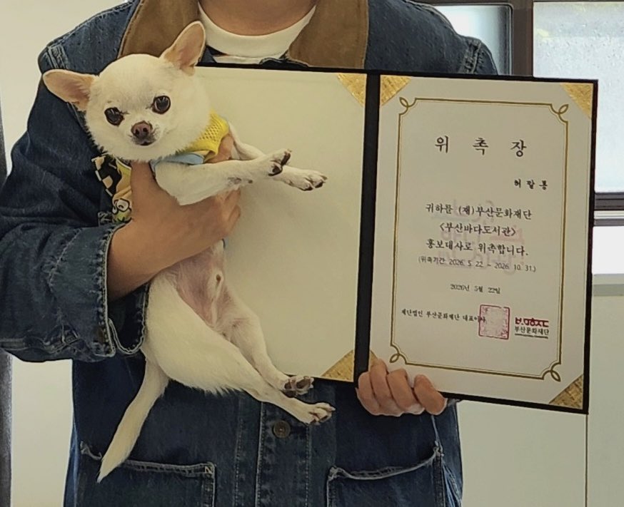 부산바다도서관-앰버서더가-된-깔롱이와-허휘수-2-이미지