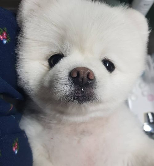 장사는-뒷전인-사장님-1-이미지