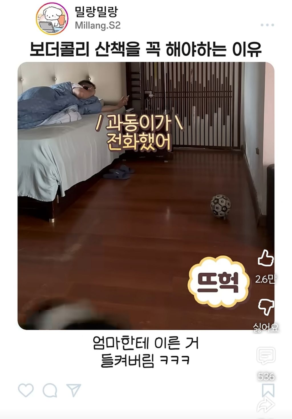 아빠가-산책-안시켜주니까-엄마한테-전화걸어서-일러-바치는-보더콜리-9-이미지