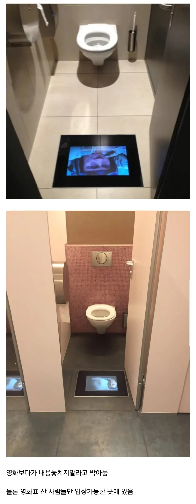 스위스-영화관에-있다는-화장실.jpg-0-이미지