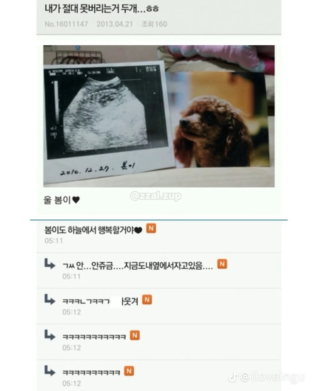 심심해서-다시보는-유머모음-9-이미지