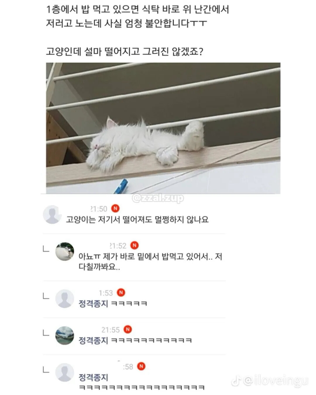 심심해서-다시보는-유머모음-11-이미지