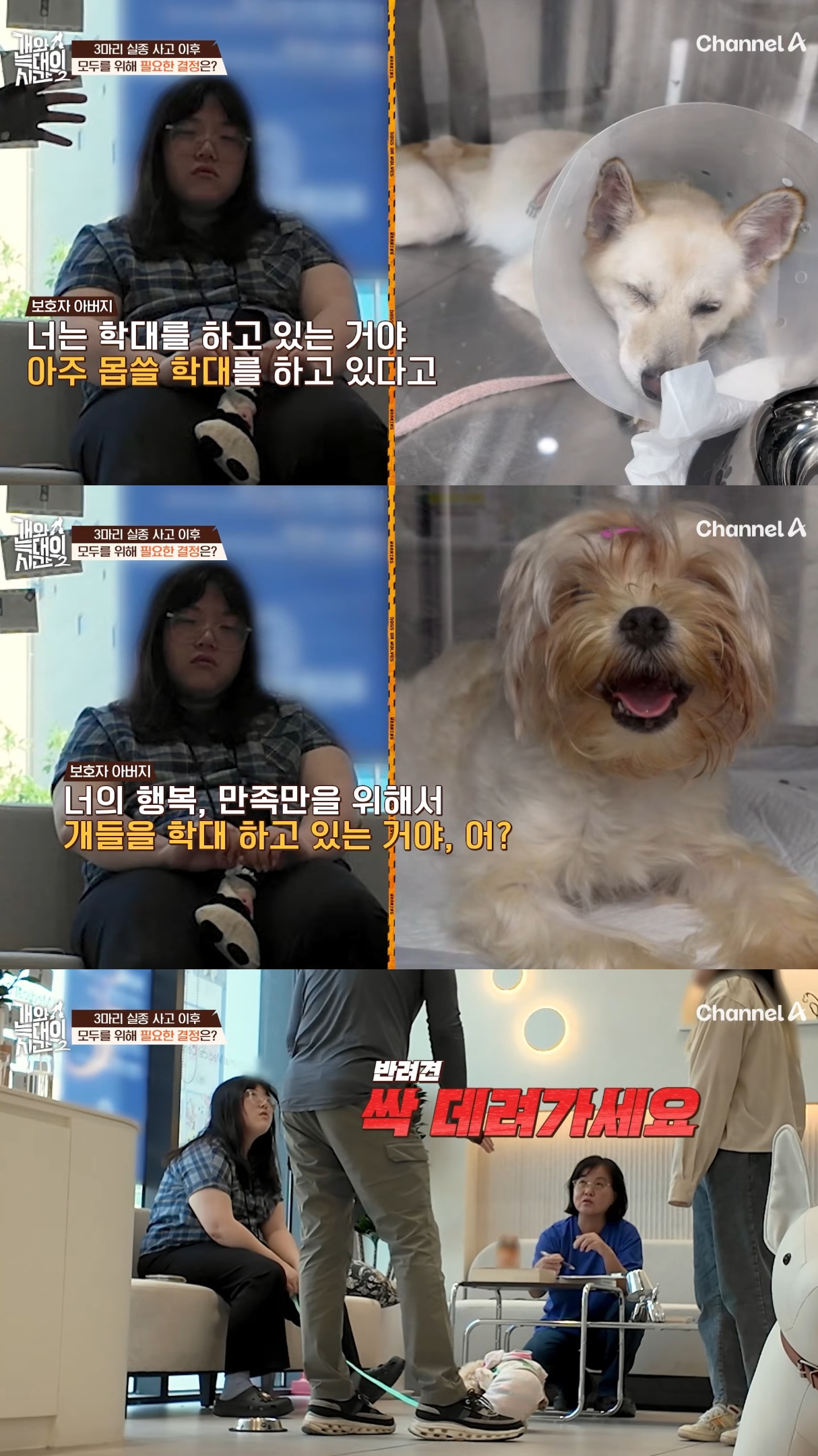 음식물-쓰레기,-고양이똥,-화장실-물을-먹는-반려견들.jpg-43-이미지