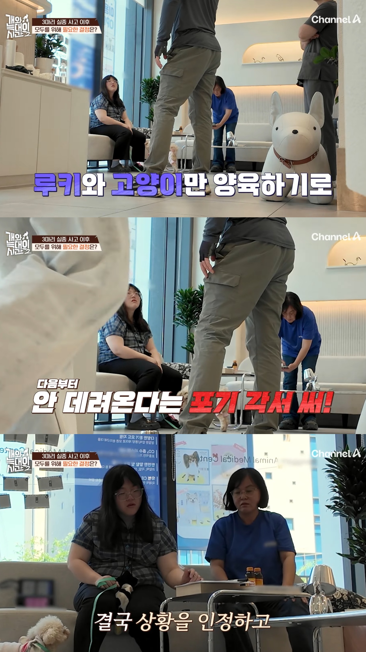 음식물-쓰레기,-고양이똥,-화장실-물을-먹는-반려견들.jpg-47-이미지