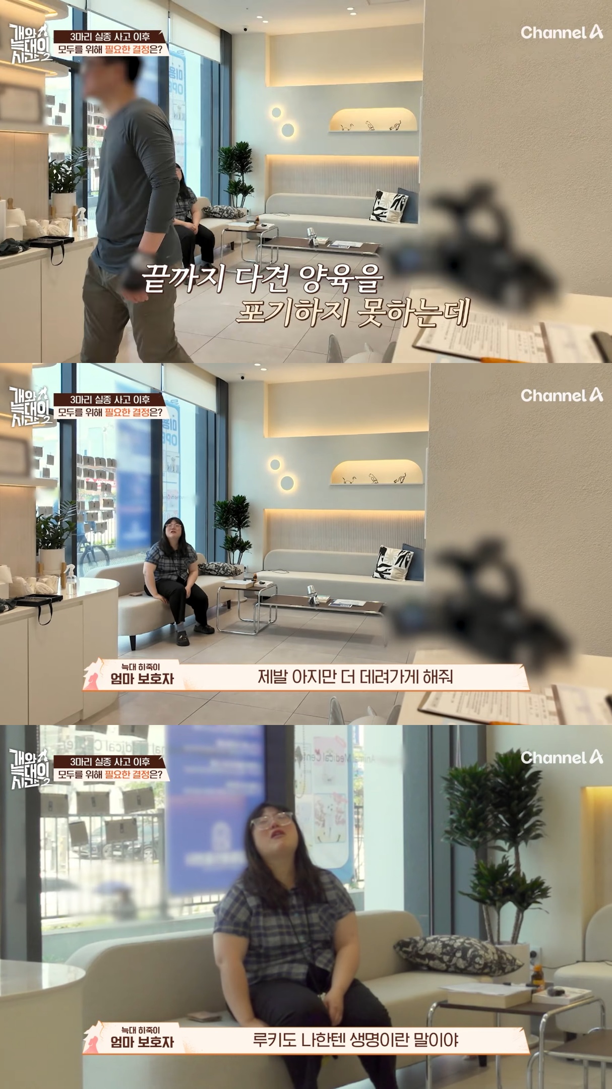 음식물-쓰레기,-고양이똥,-화장실-물을-먹는-반려견들.jpg-45-이미지