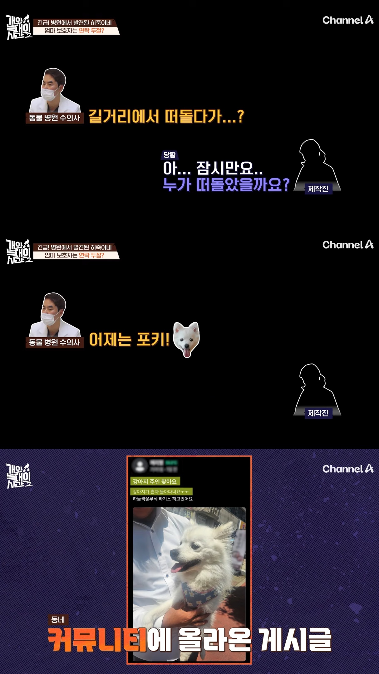 음식물-쓰레기,-고양이똥,-화장실-물을-먹는-반려견들.jpg-28-이미지