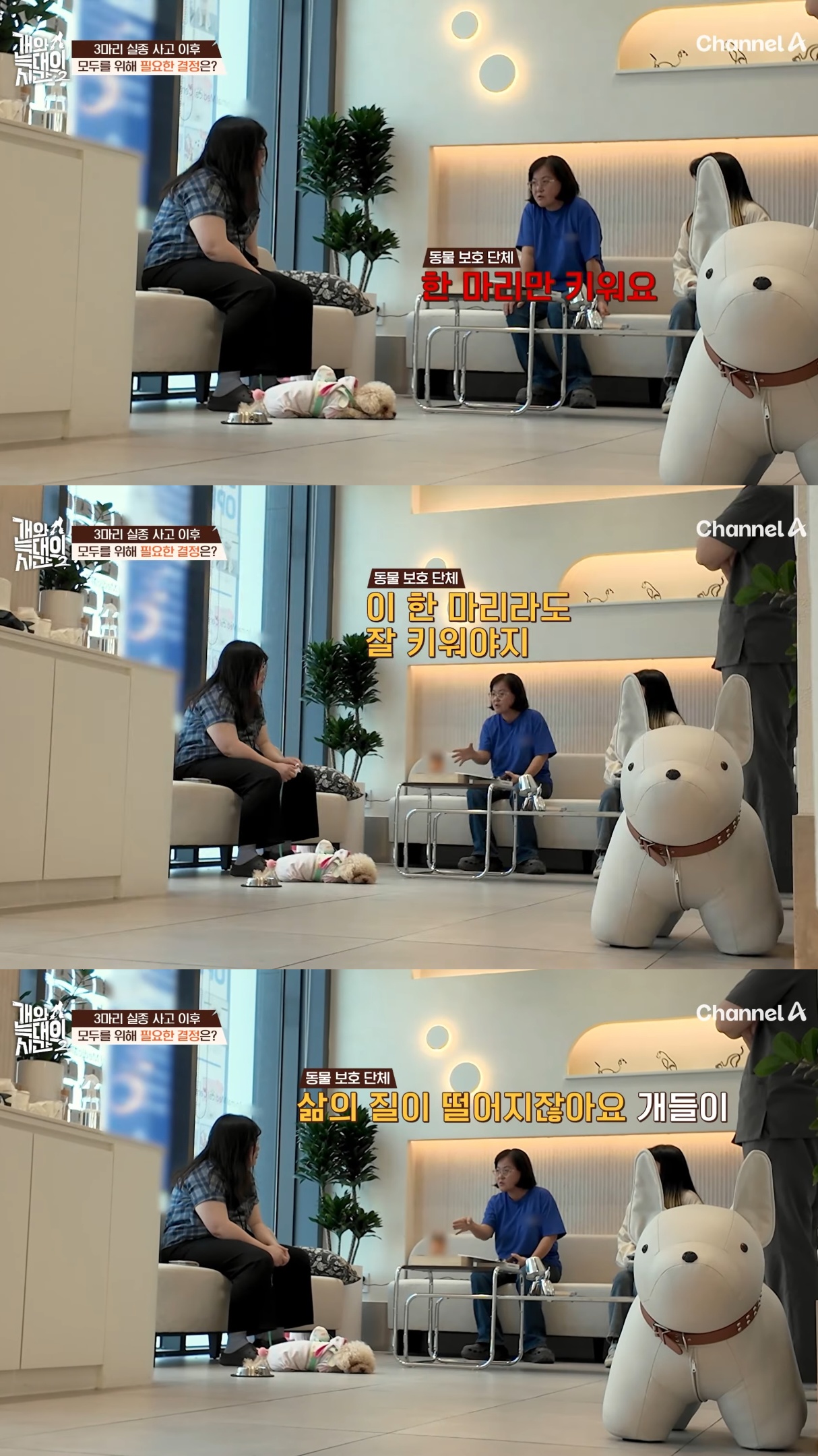 음식물-쓰레기,-고양이똥,-화장실-물을-먹는-반려견들.jpg-38-이미지