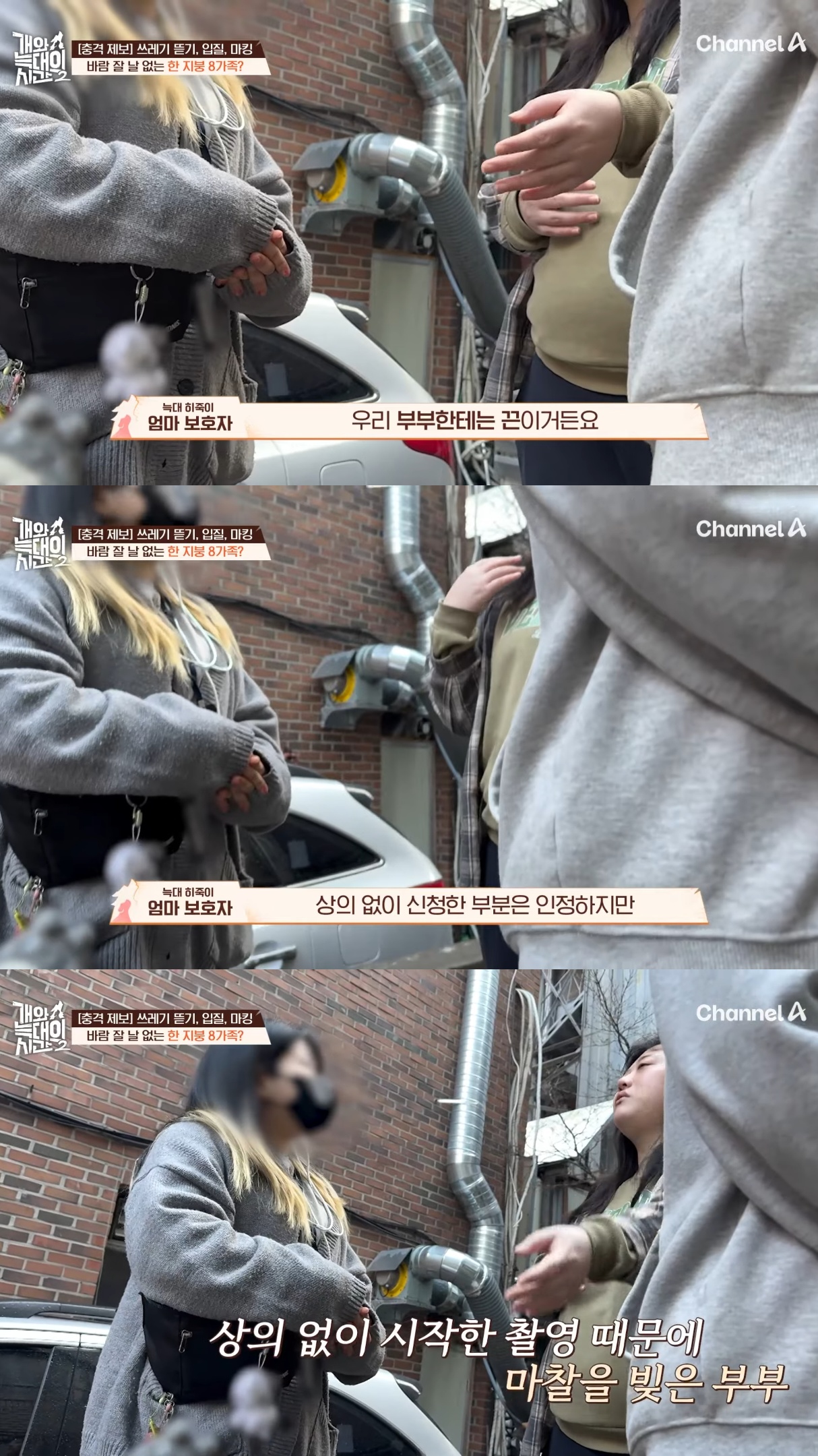 음식물-쓰레기,-고양이똥,-화장실-물을-먹는-반려견들.jpg-6-이미지