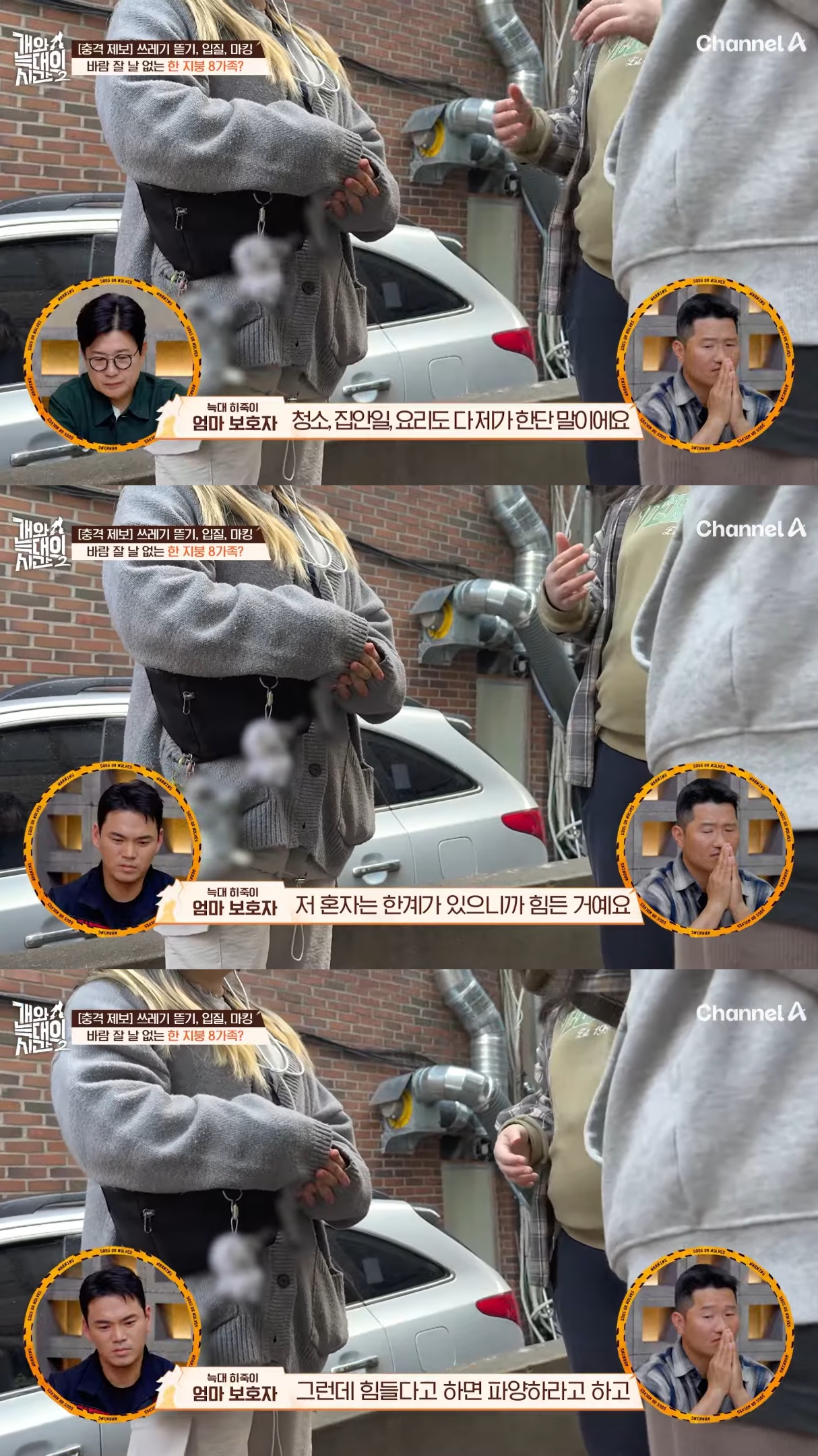음식물-쓰레기,-고양이똥,-화장실-물을-먹는-반려견들.jpg-5-이미지