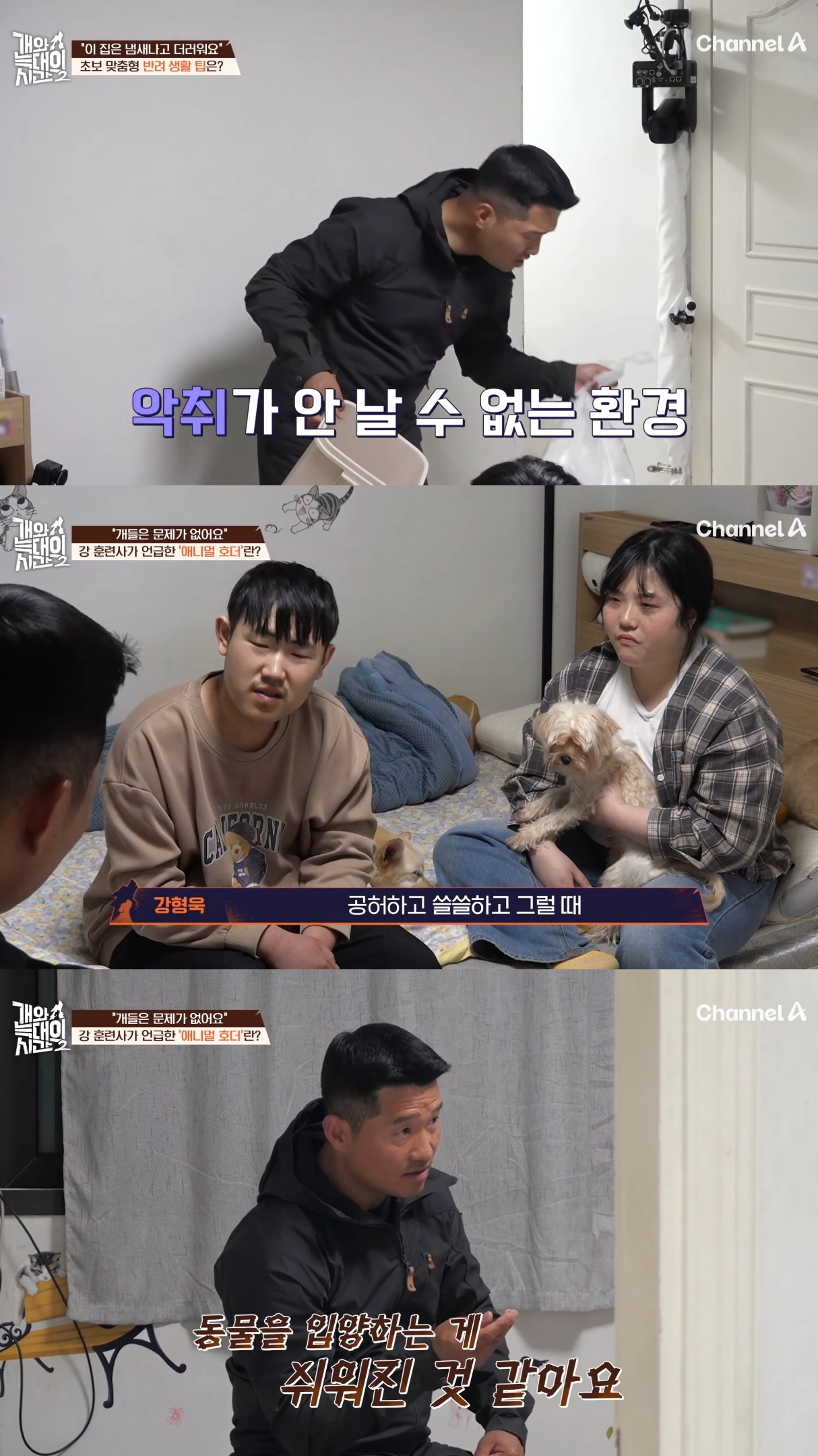음식물-쓰레기,-고양이똥,-화장실-물을-먹는-반려견들.jpg-23-이미지