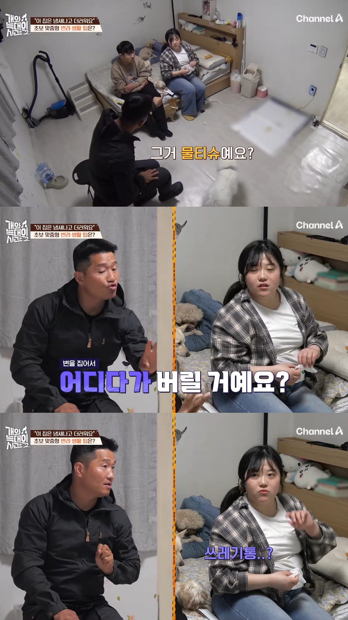 음식물-쓰레기,-고양이똥,-화장실-물을-먹는-반려견들.jpg-19-이미지
