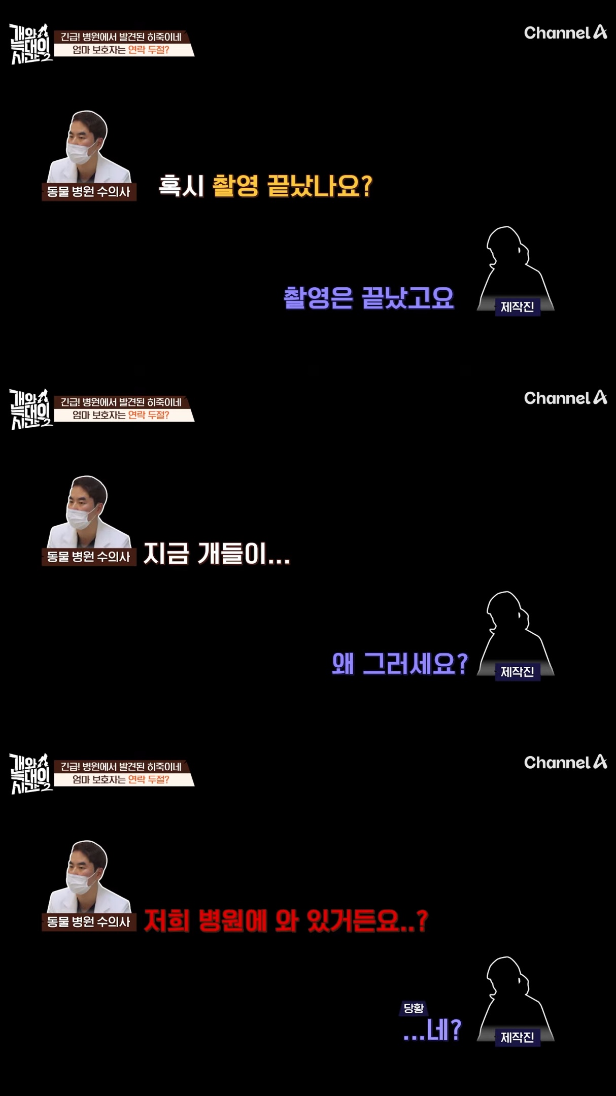음식물-쓰레기,-고양이똥,-화장실-물을-먹는-반려견들.jpg-27-이미지