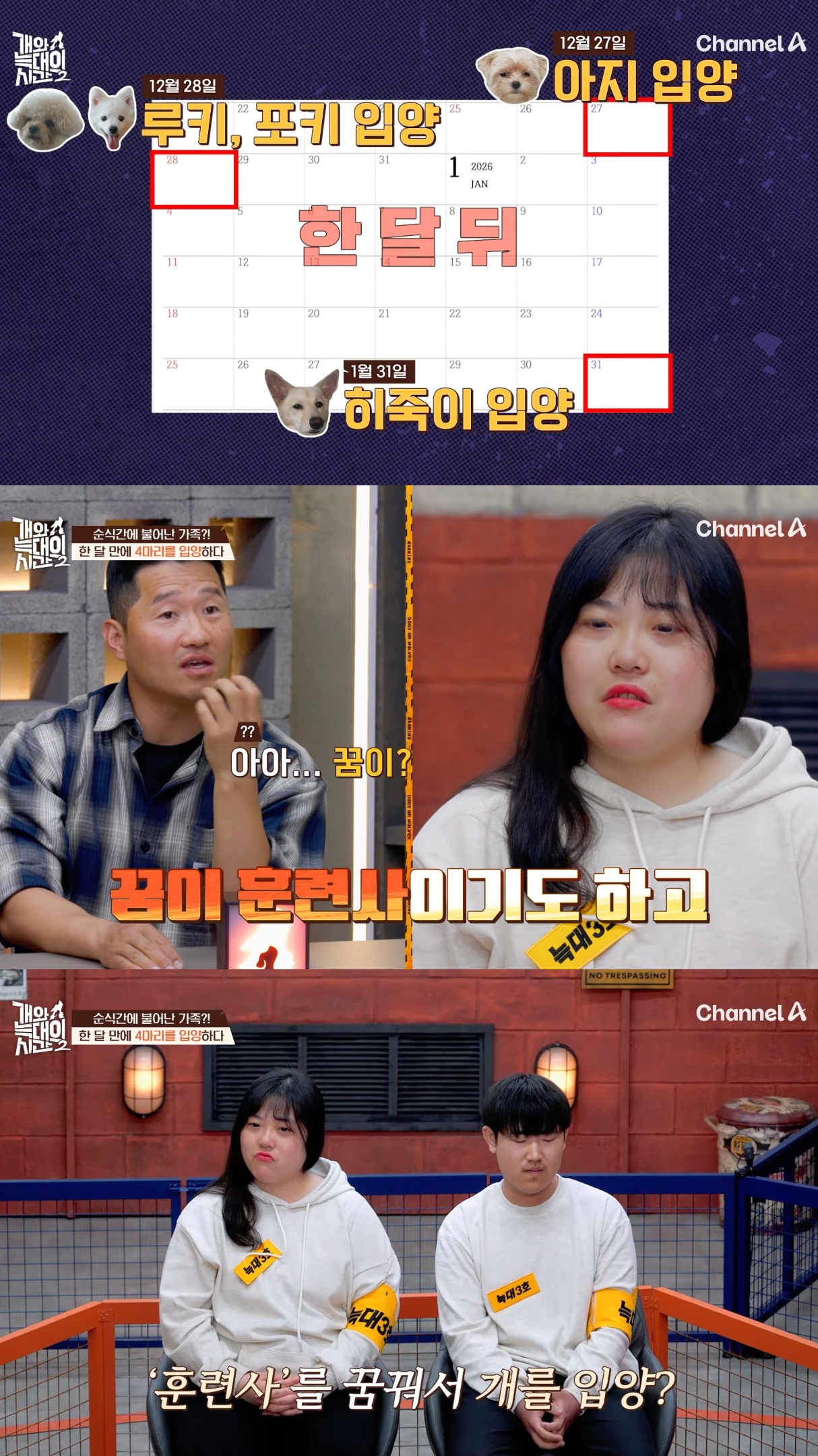 음식물-쓰레기,-고양이똥,-화장실-물을-먹는-반려견들.jpg-0-이미지