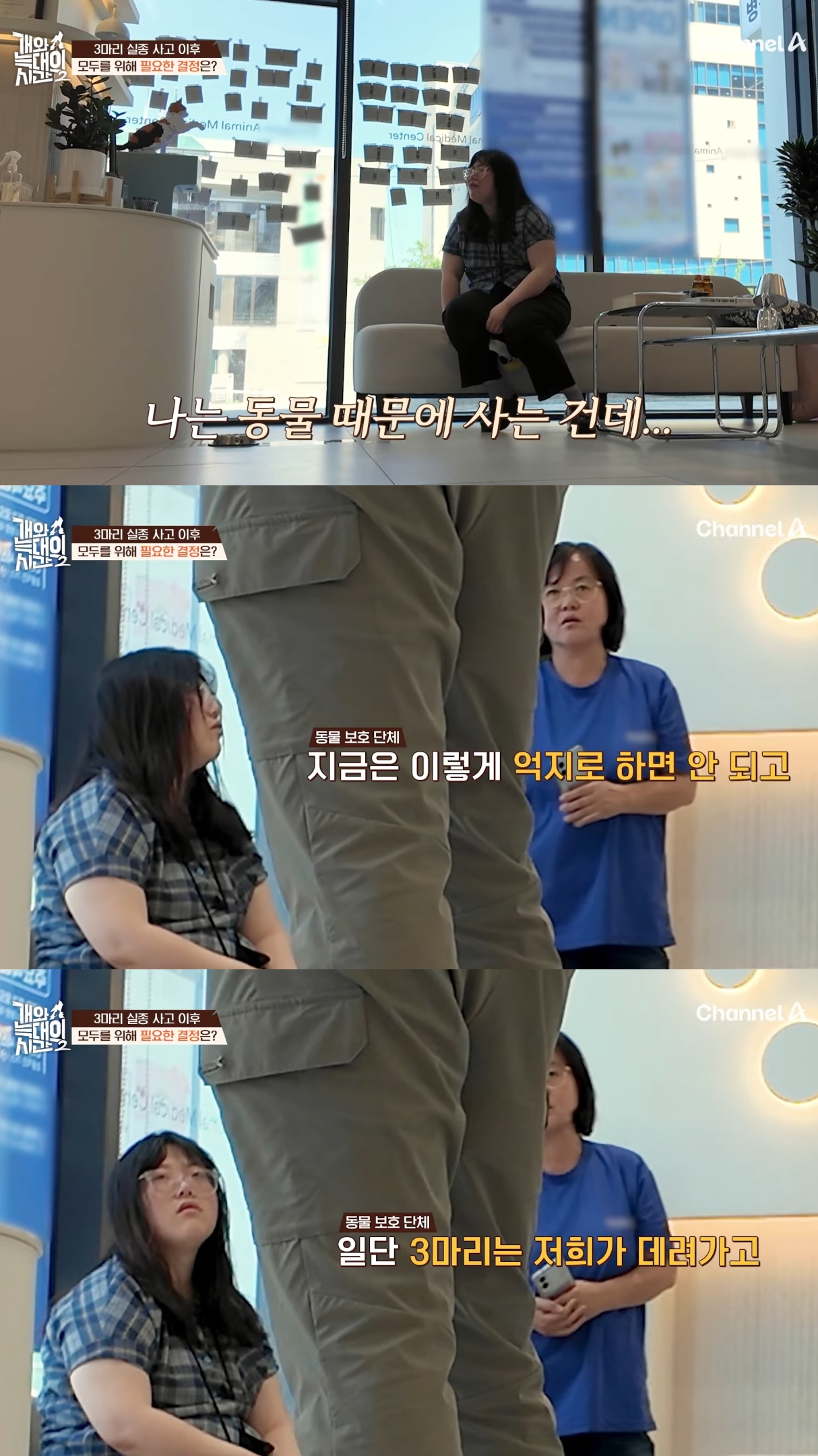 음식물-쓰레기,-고양이똥,-화장실-물을-먹는-반려견들.jpg-46-이미지