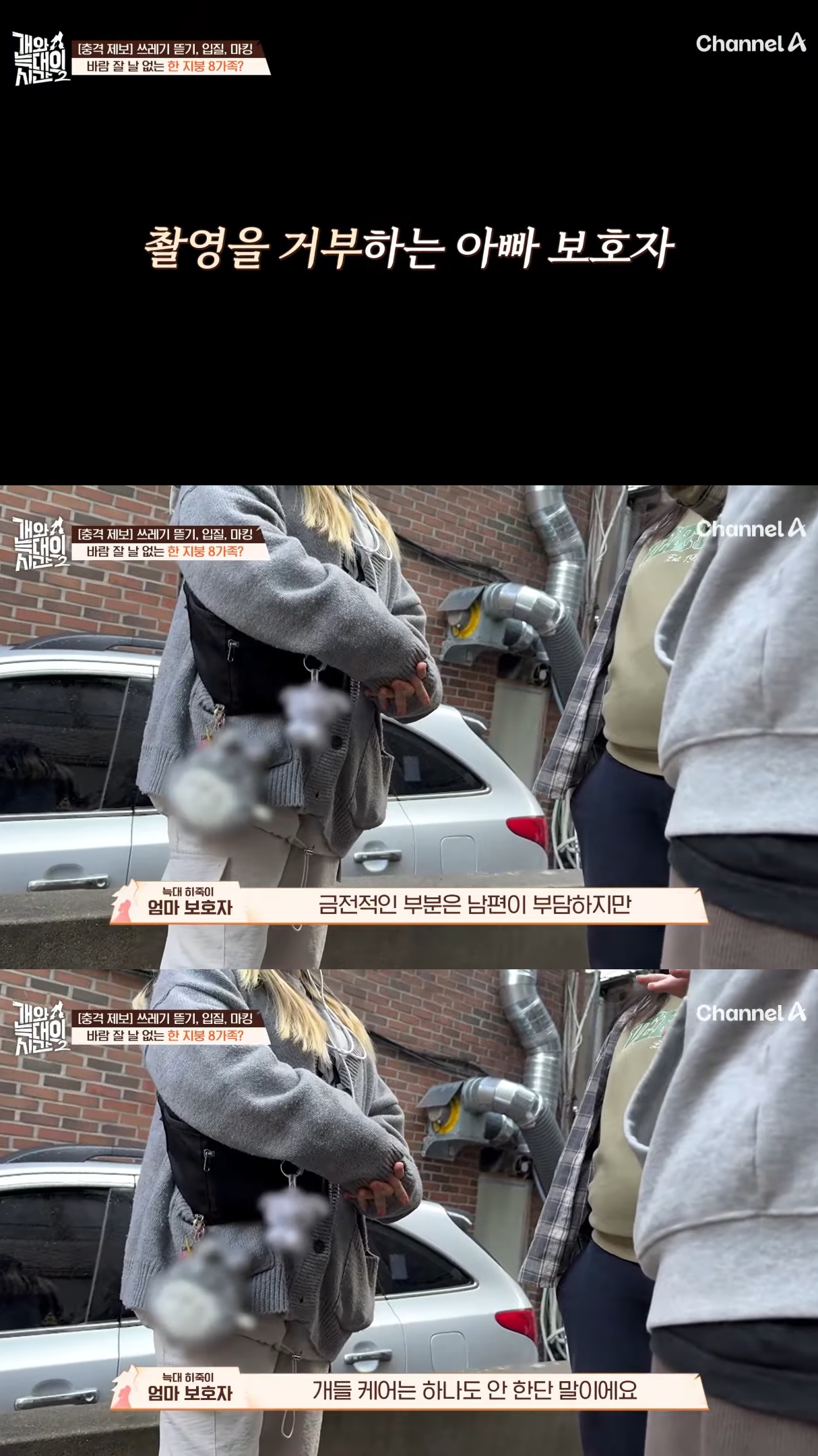 음식물-쓰레기,-고양이똥,-화장실-물을-먹는-반려견들.jpg-4-이미지