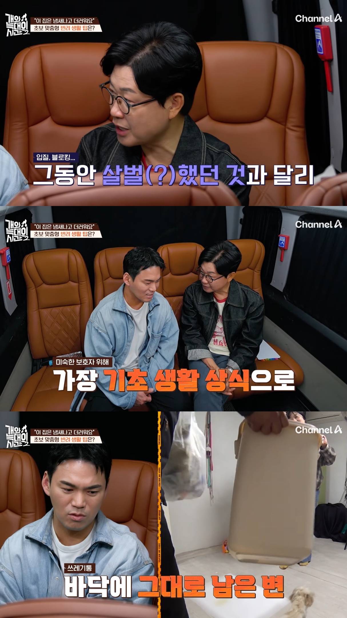 음식물-쓰레기,-고양이똥,-화장실-물을-먹는-반려견들.jpg-22-이미지
