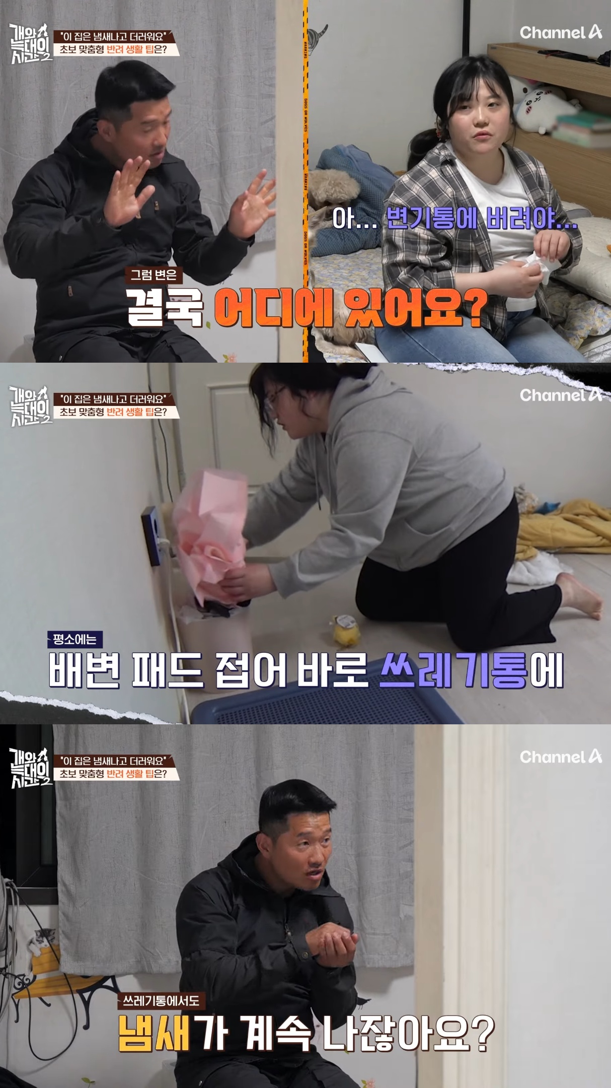 음식물-쓰레기,-고양이똥,-화장실-물을-먹는-반려견들.jpg-20-이미지