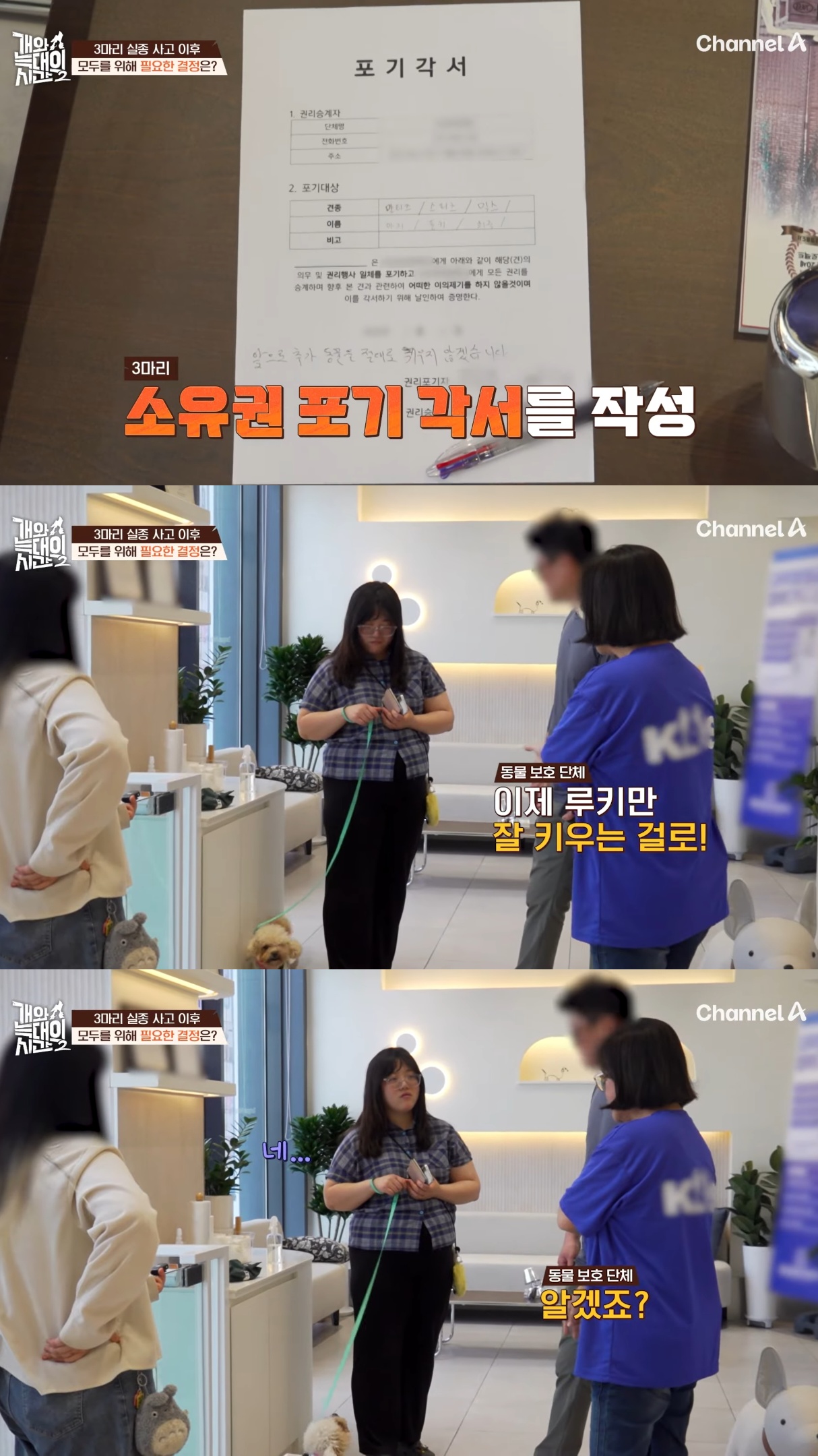 음식물-쓰레기,-고양이똥,-화장실-물을-먹는-반려견들.jpg-48-이미지