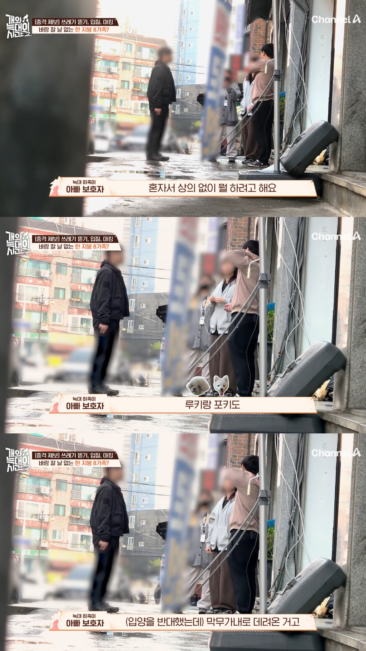 음식물-쓰레기,-고양이똥,-화장실-물을-먹는-반려견들.jpg-3-이미지