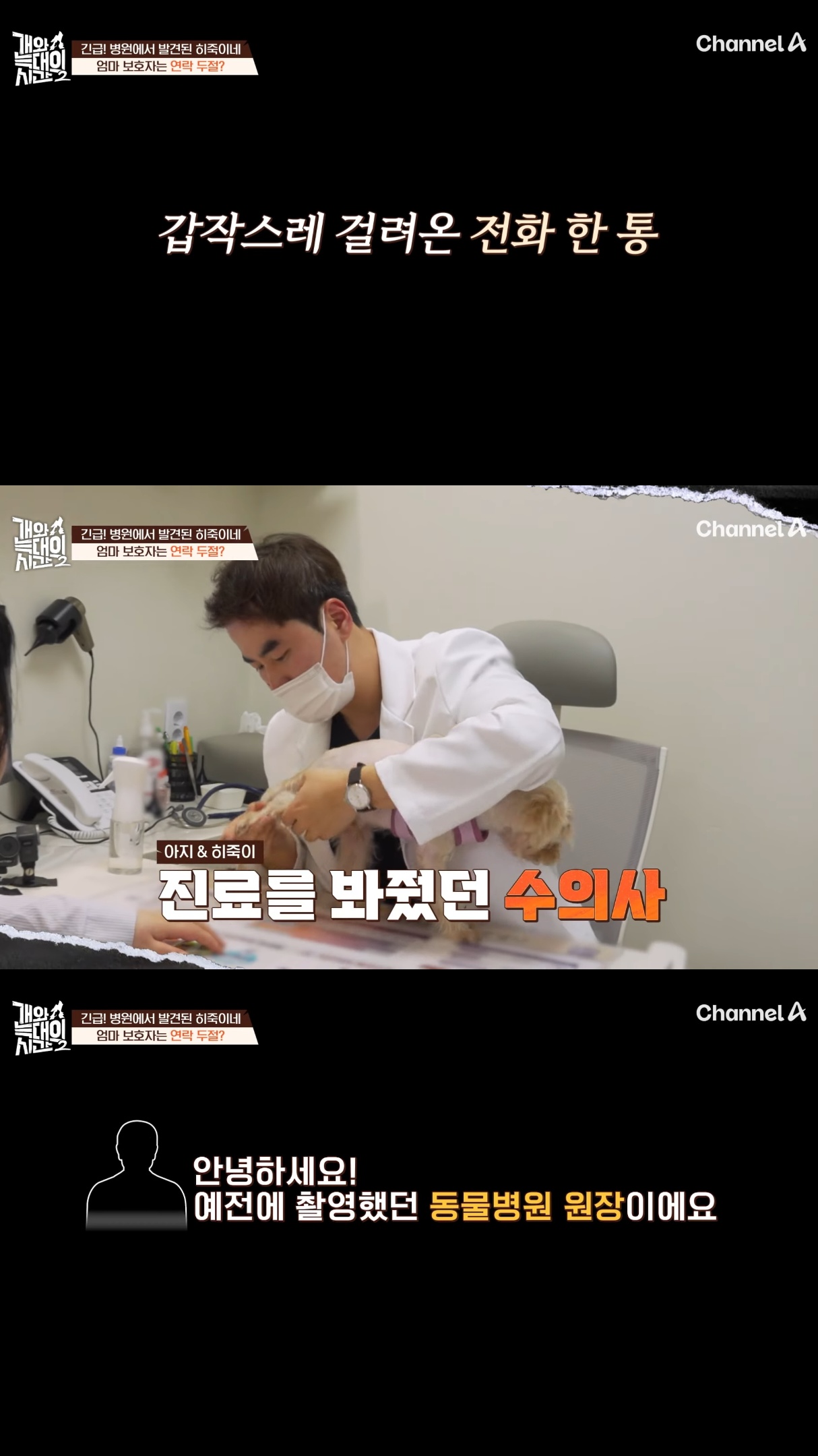 음식물-쓰레기,-고양이똥,-화장실-물을-먹는-반려견들.jpg-26-이미지