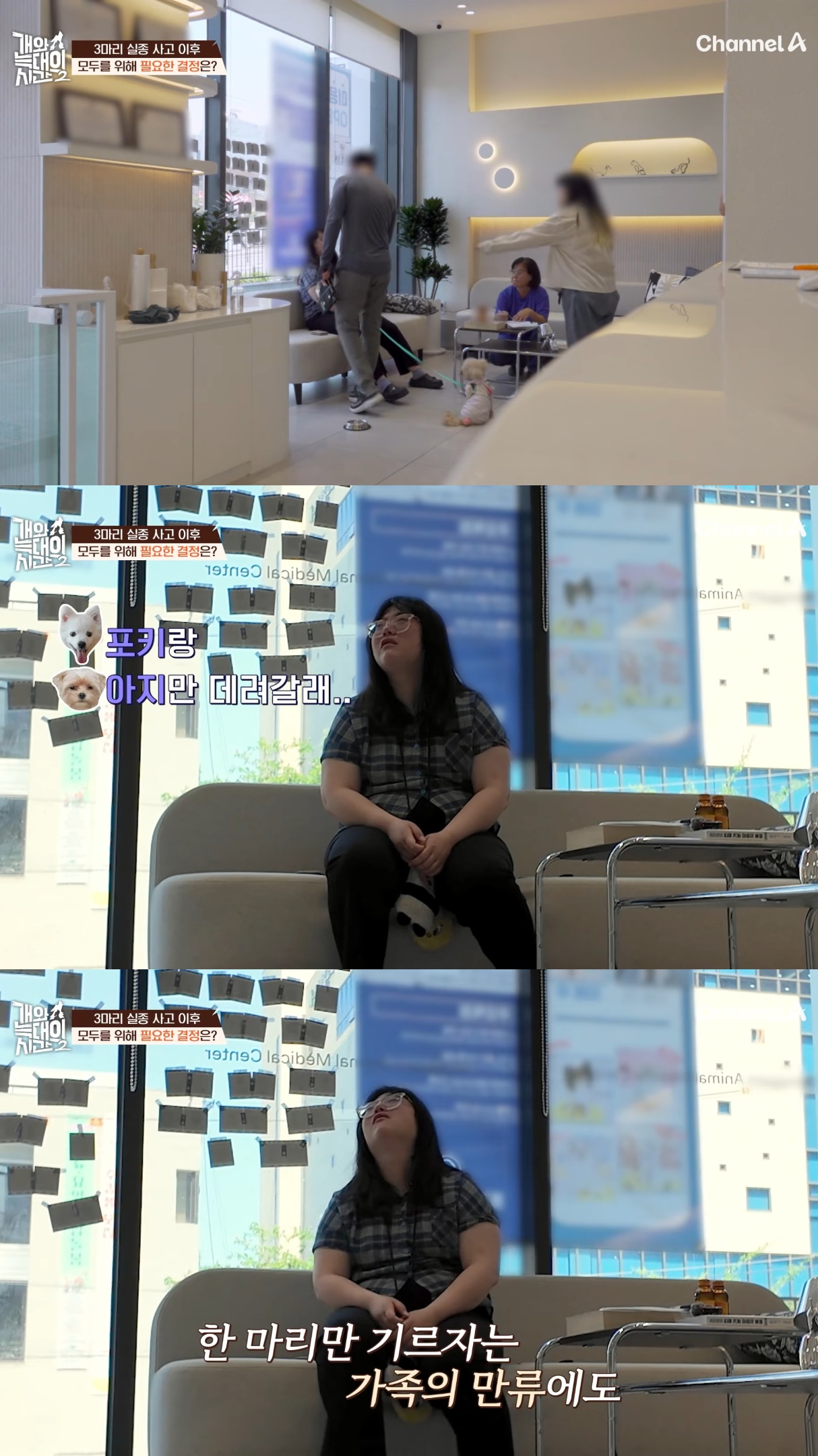 음식물-쓰레기,-고양이똥,-화장실-물을-먹는-반려견들.jpg-44-이미지