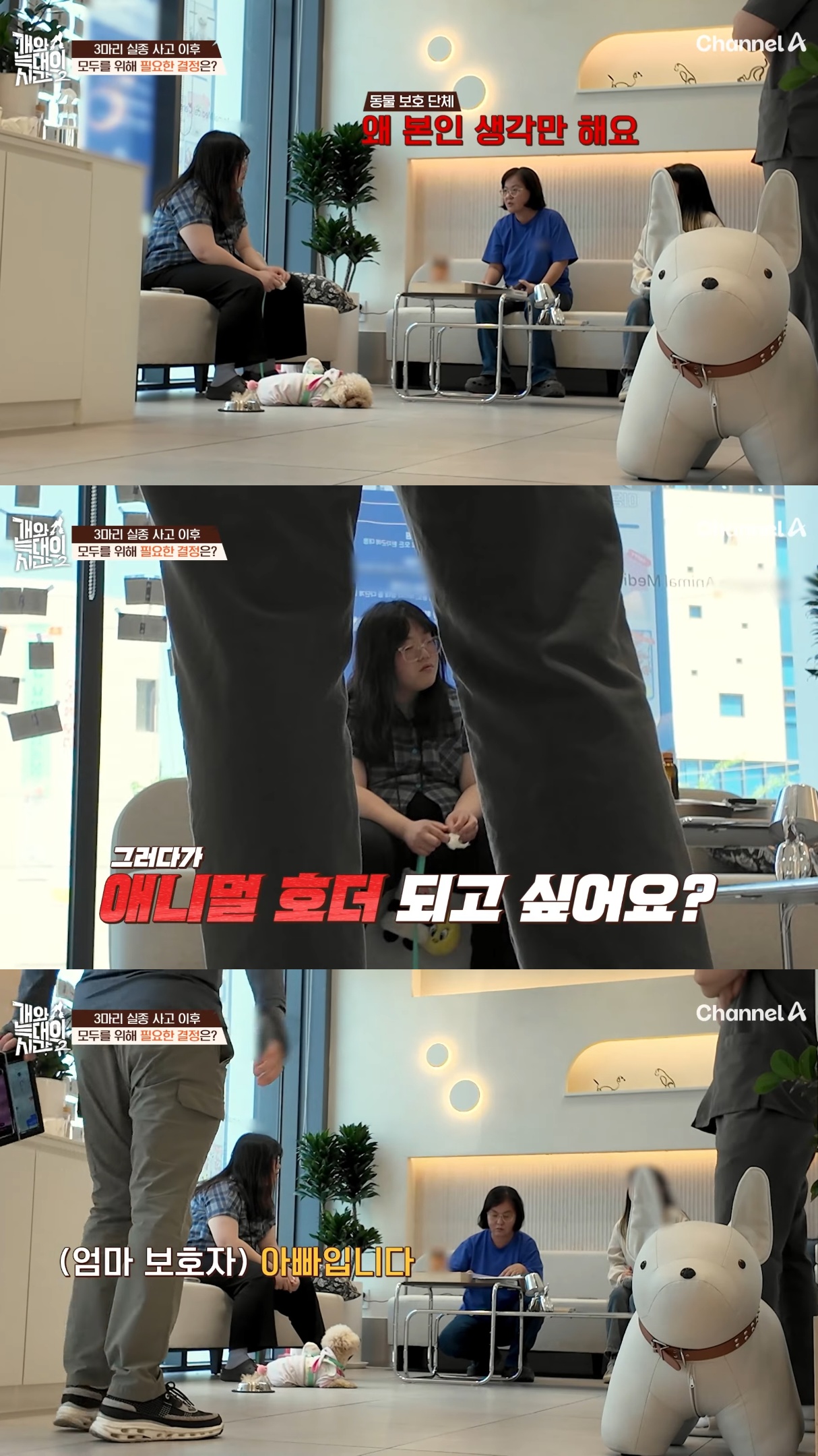 음식물-쓰레기,-고양이똥,-화장실-물을-먹는-반려견들.jpg-39-이미지