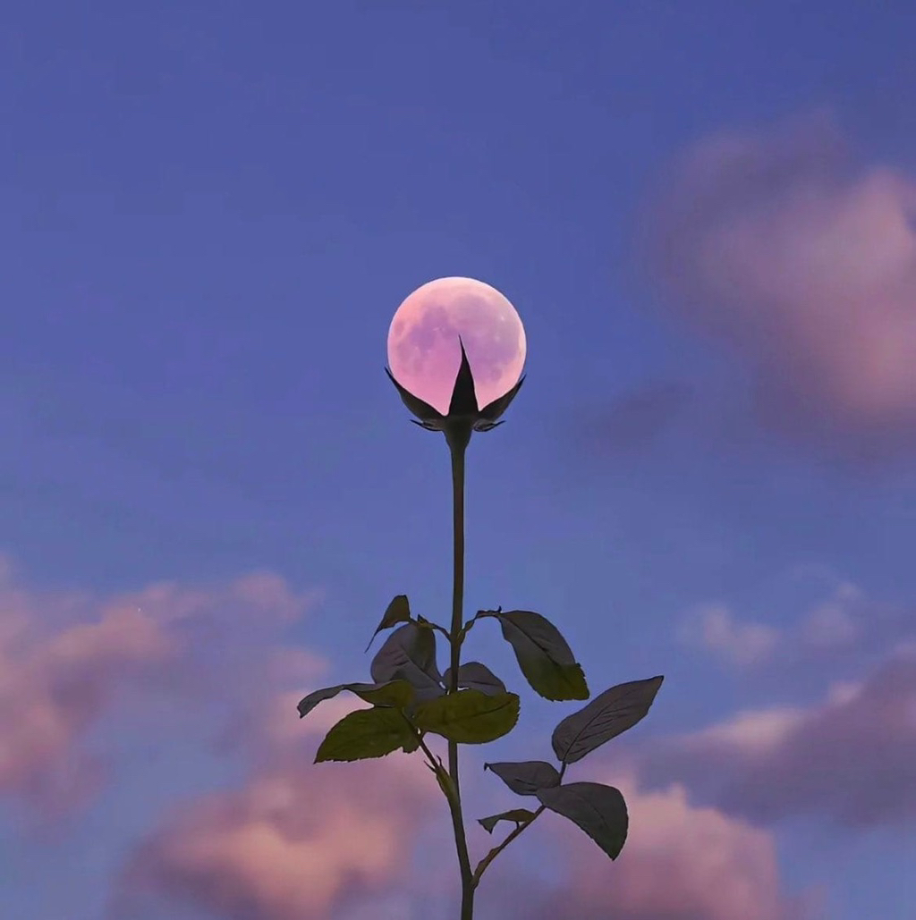 가장-멋진-달-사진-5-이미지