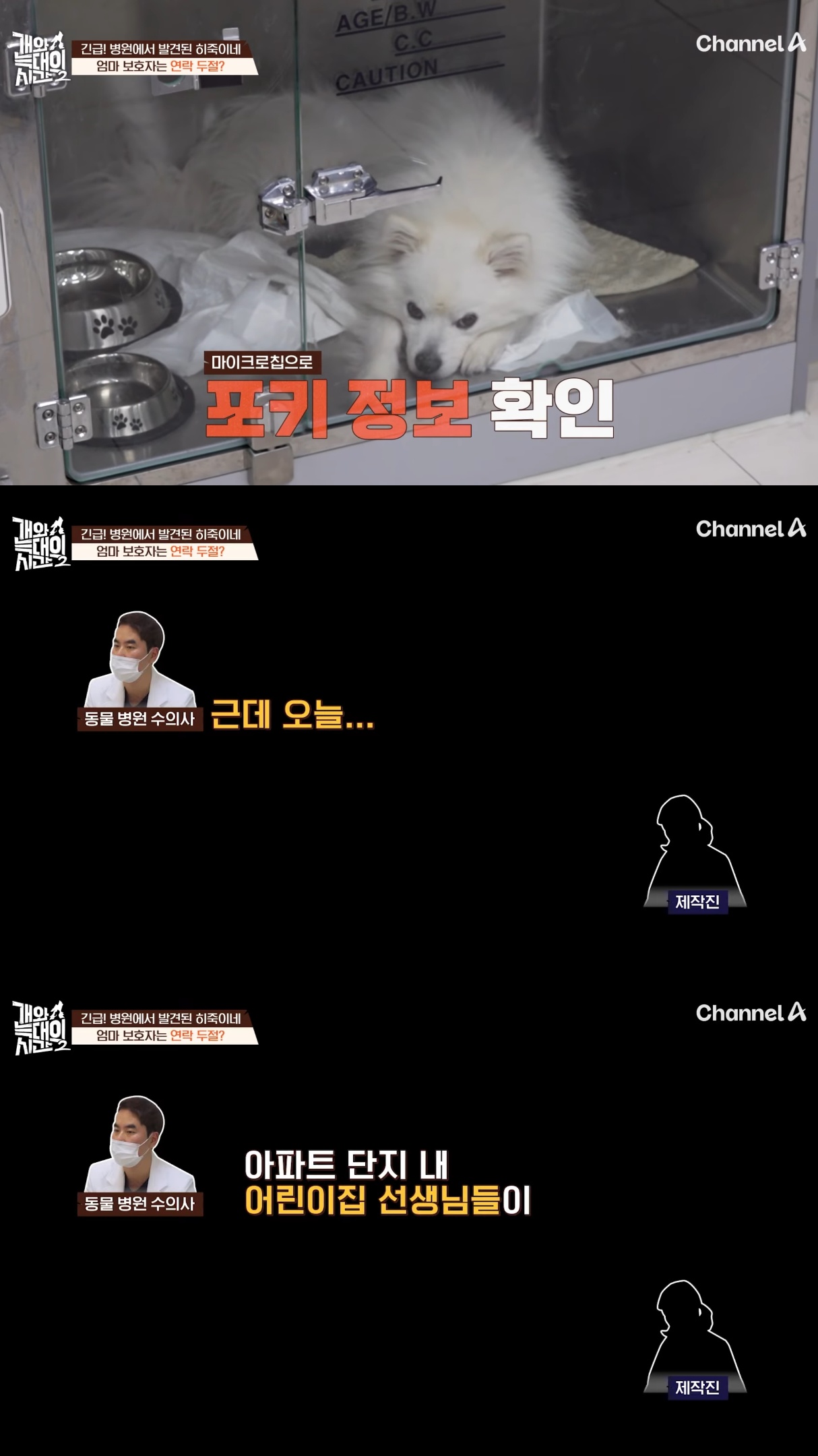 음식물-쓰레기,-고양이똥,-화장실-물을-먹는-반려견들.jpg-30-이미지