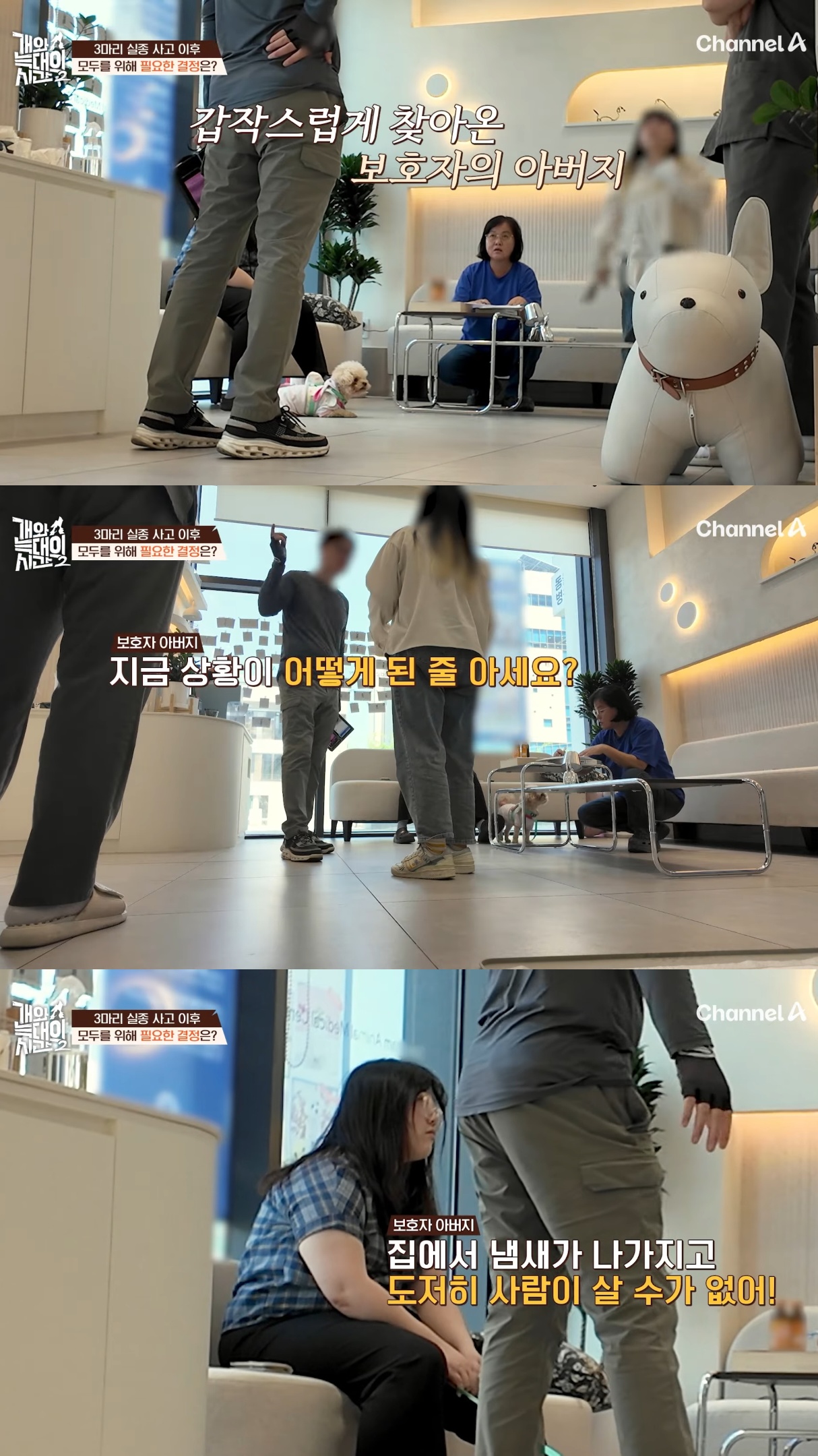 음식물-쓰레기,-고양이똥,-화장실-물을-먹는-반려견들.jpg-40-이미지