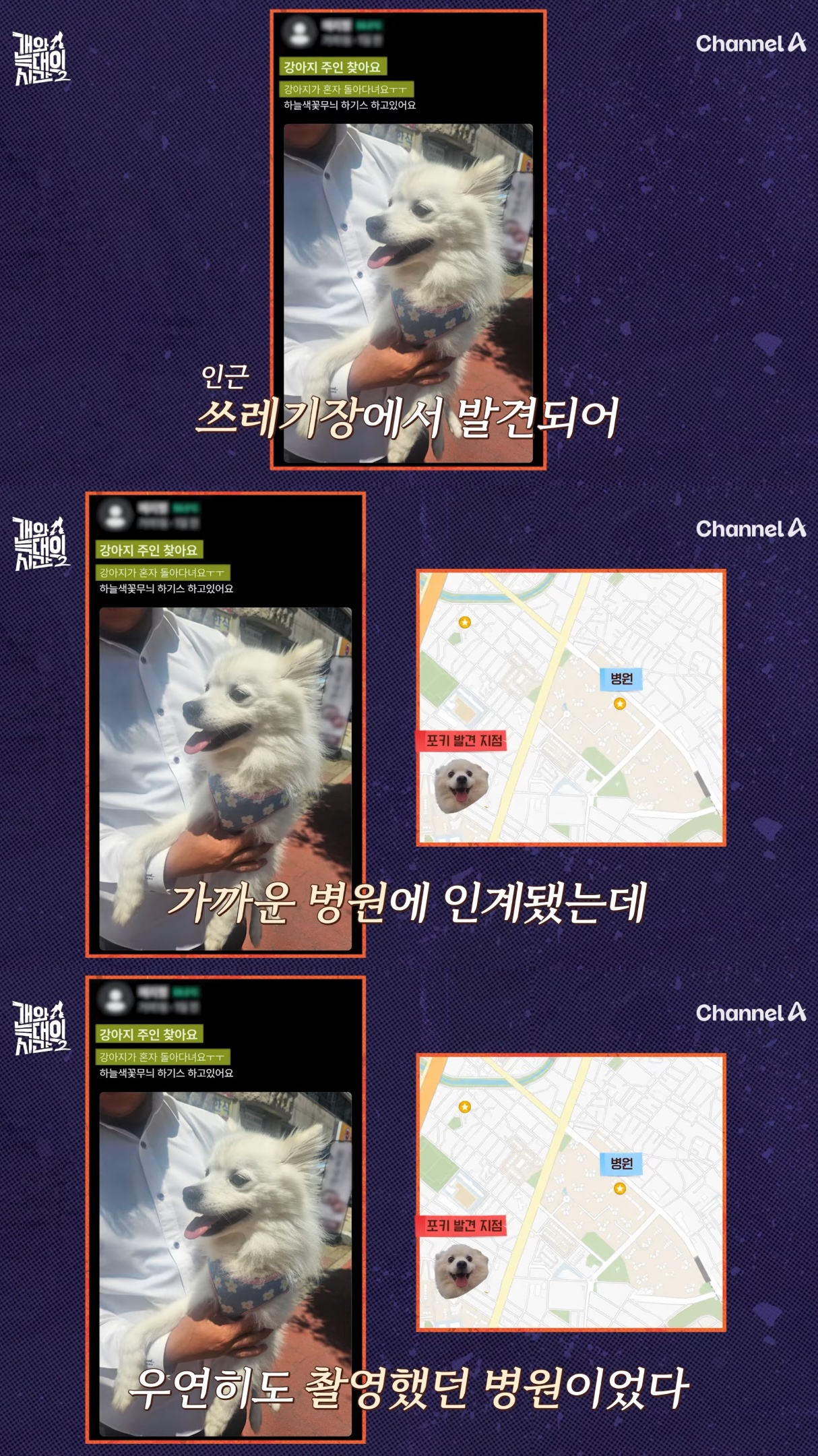 음식물-쓰레기,-고양이똥,-화장실-물을-먹는-반려견들.jpg-29-이미지