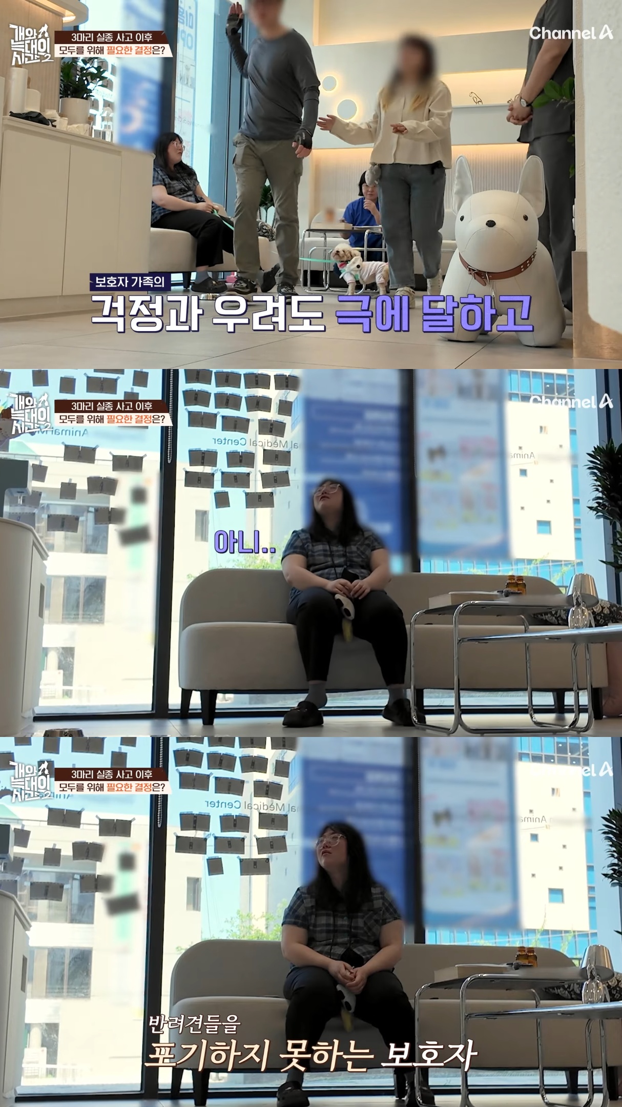 음식물-쓰레기,-고양이똥,-화장실-물을-먹는-반려견들.jpg-41-이미지