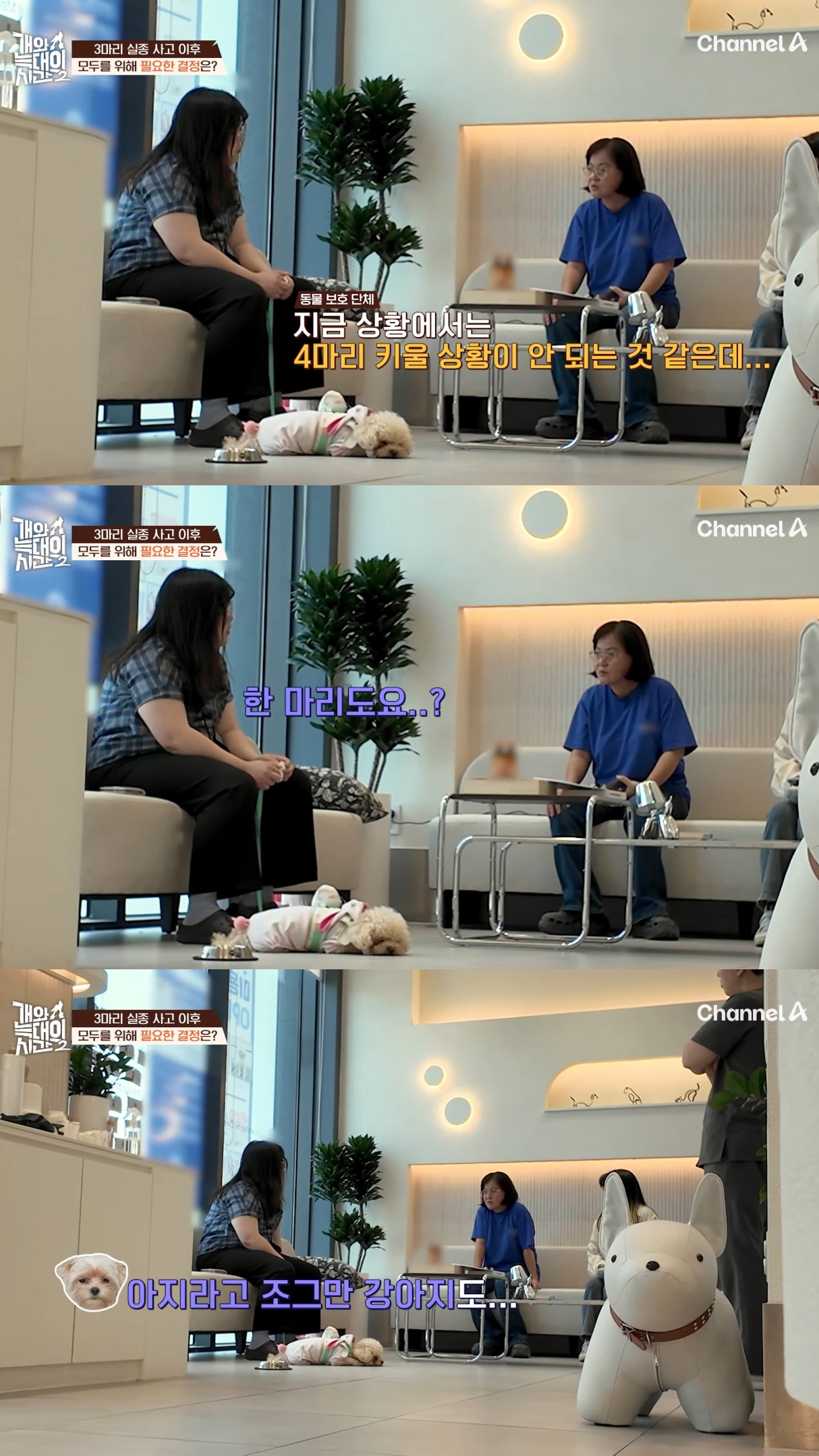 음식물-쓰레기,-고양이똥,-화장실-물을-먹는-반려견들.jpg-37-이미지