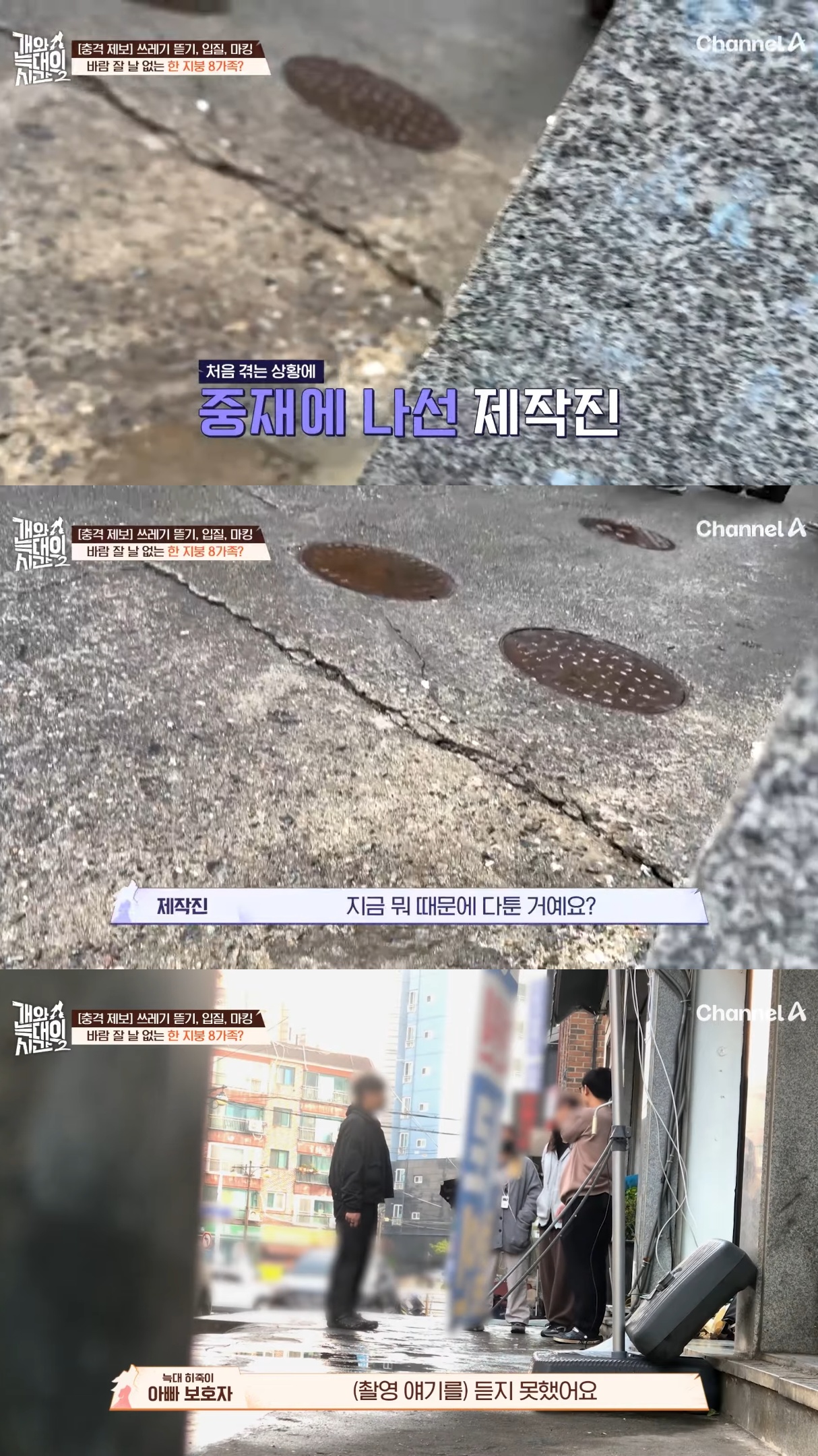음식물-쓰레기,-고양이똥,-화장실-물을-먹는-반려견들.jpg-2-이미지