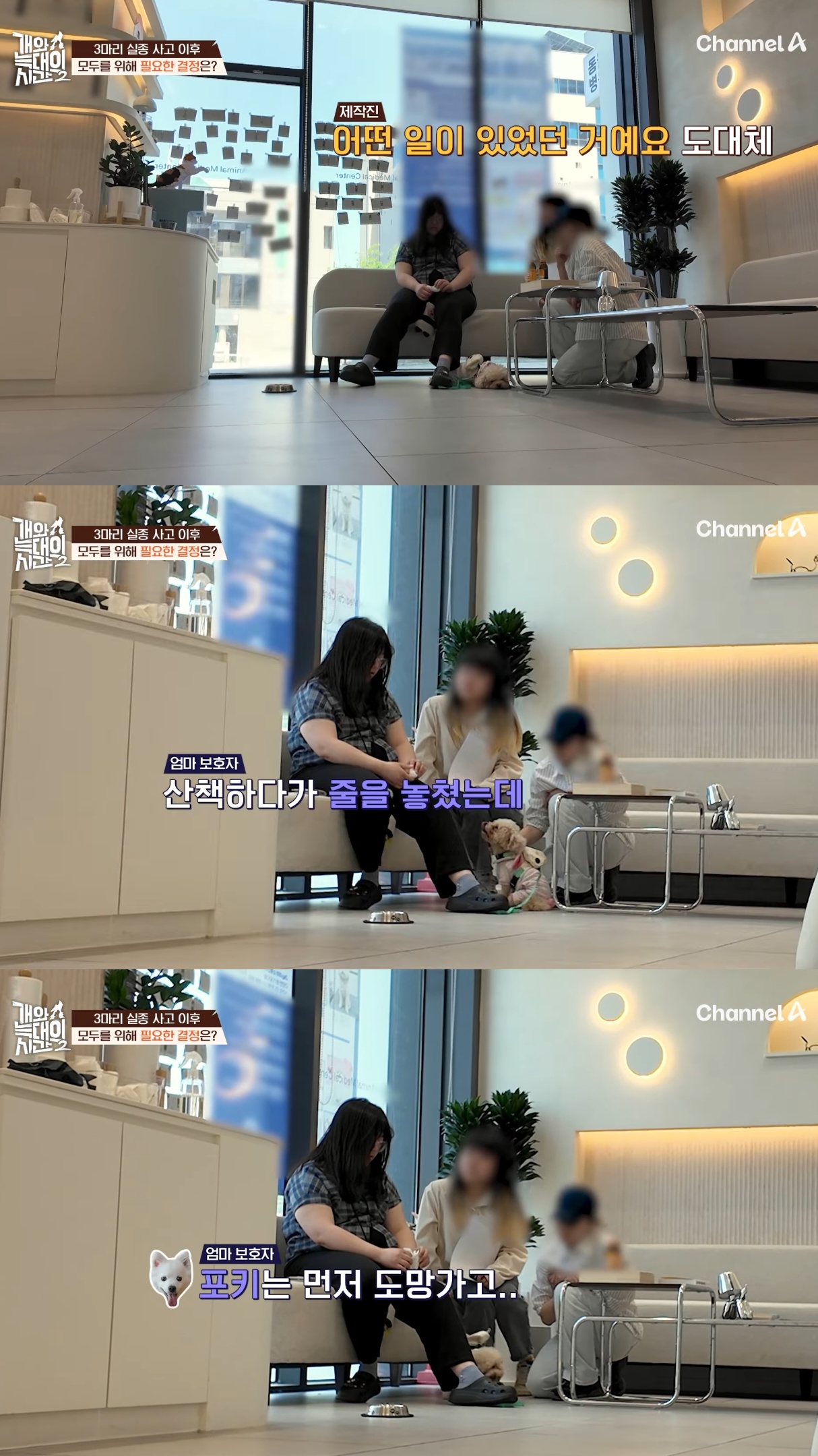 음식물-쓰레기,-고양이똥,-화장실-물을-먹는-반려견들.jpg-35-이미지