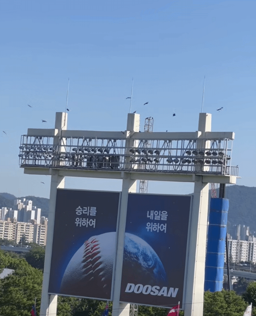오늘-잠실-야구장-뷔페맛집-웨이팅-결과-0-이미지