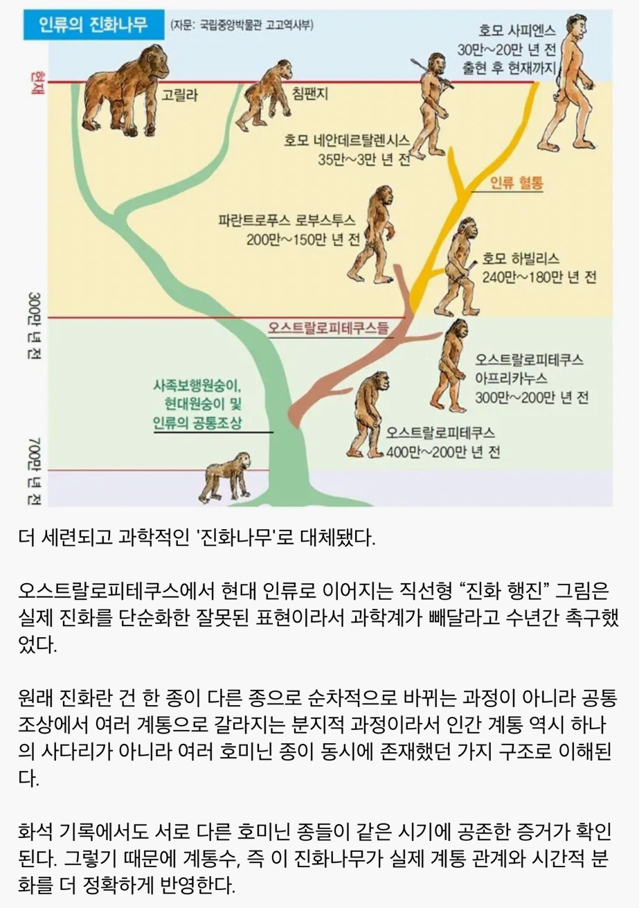 요즘-교과서에서-사라진-인류-진화-그림.jpg-1-이미지