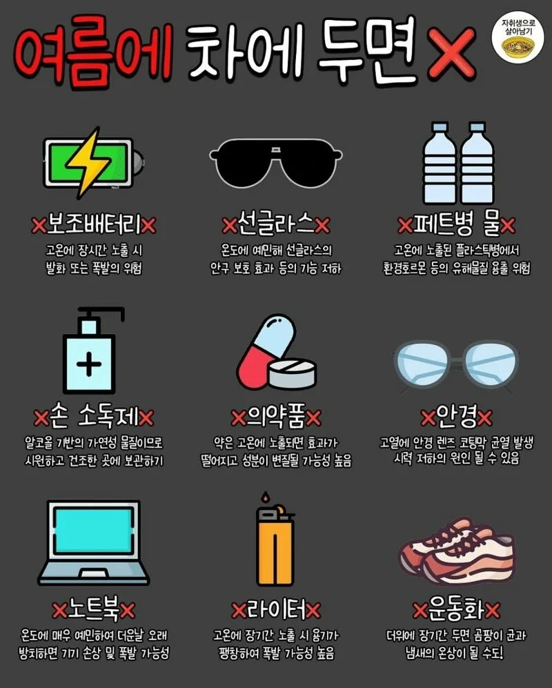 여름에-차에-두면-안-되는-것들-0-이미지